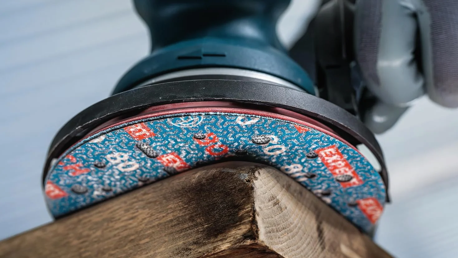 Bosch 50x EXPERT O780 tarcza szlifierska do folii, 150 mm (do twardego drewna, farba na drewnie, Ø 150 mm, ziarnistość 60, profesjonalne akcesoria szlifierka mimośrodowa)