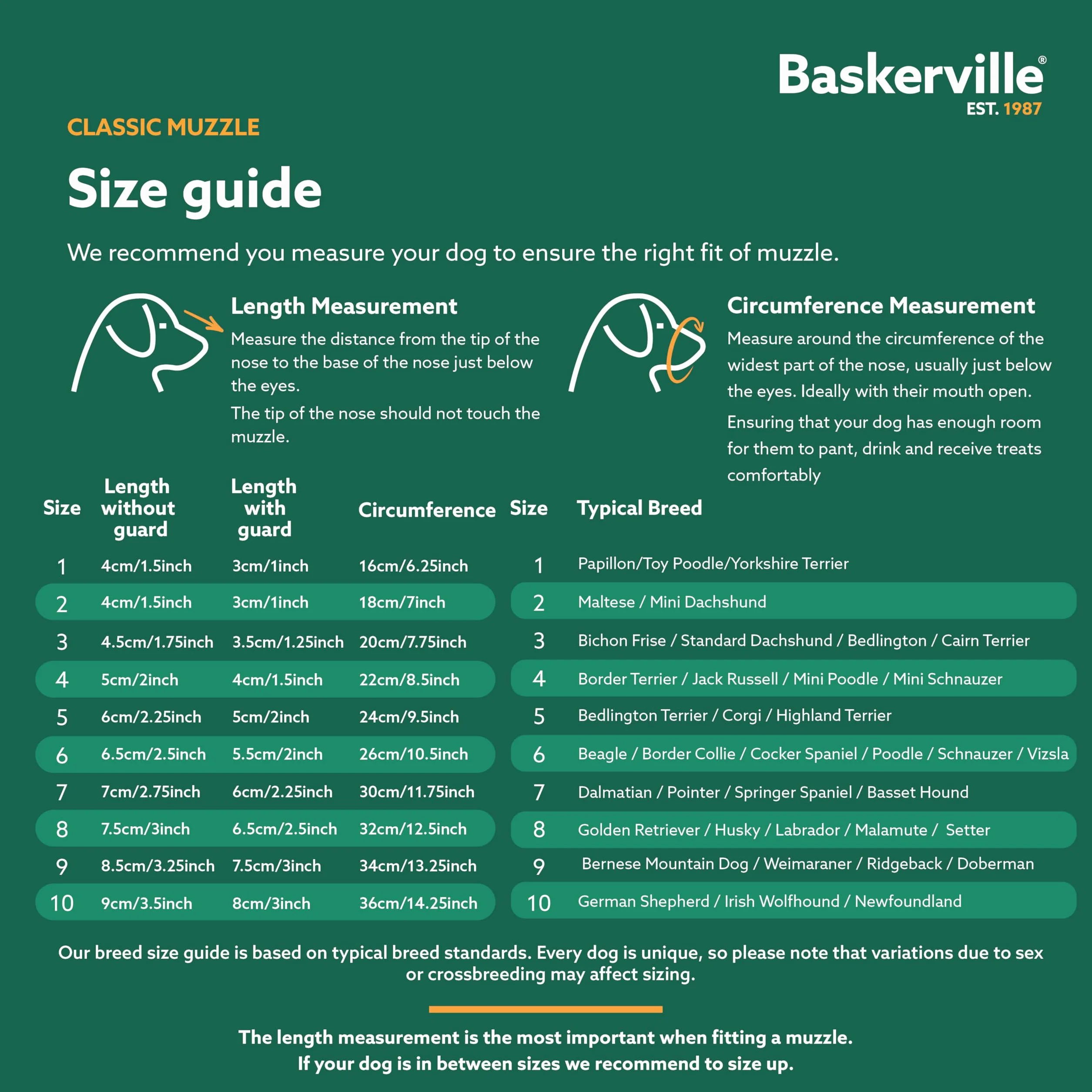 Baskerville Classic kaganiec – pozwala na nauczanie i picie, zapobiega gryzieniu i szperaniu jedzenia, pasuje dla psów z długimi nosami, kaganiec treningowy dla średnich psów (rozmiar 4)