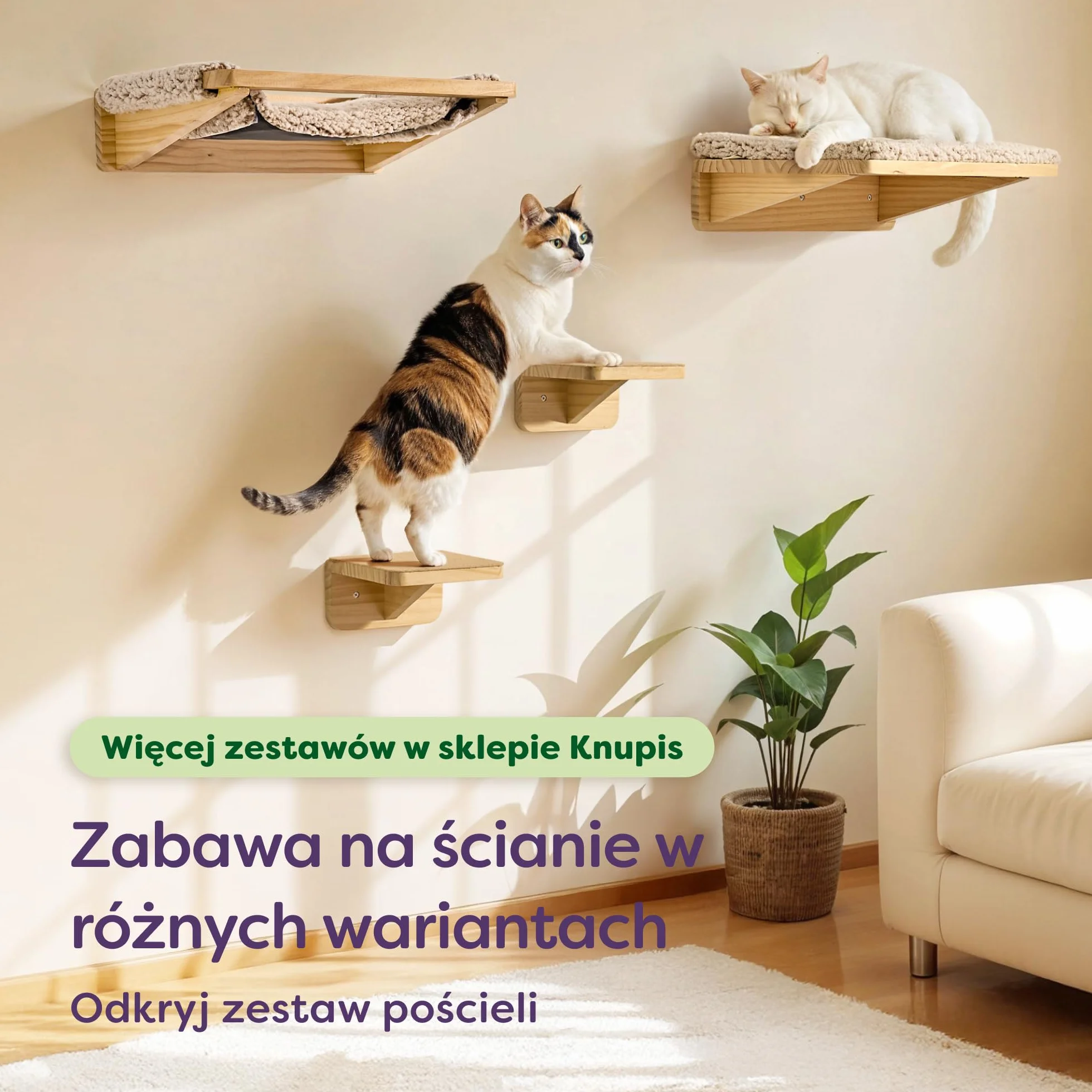 Knupis Zestaw Ściennej Drabinki dla Kota z Hamakiem i Schodkami Lite Drewno Sosnowe FSC Stabilna Półka Ścienna do 30 kg Beżowy