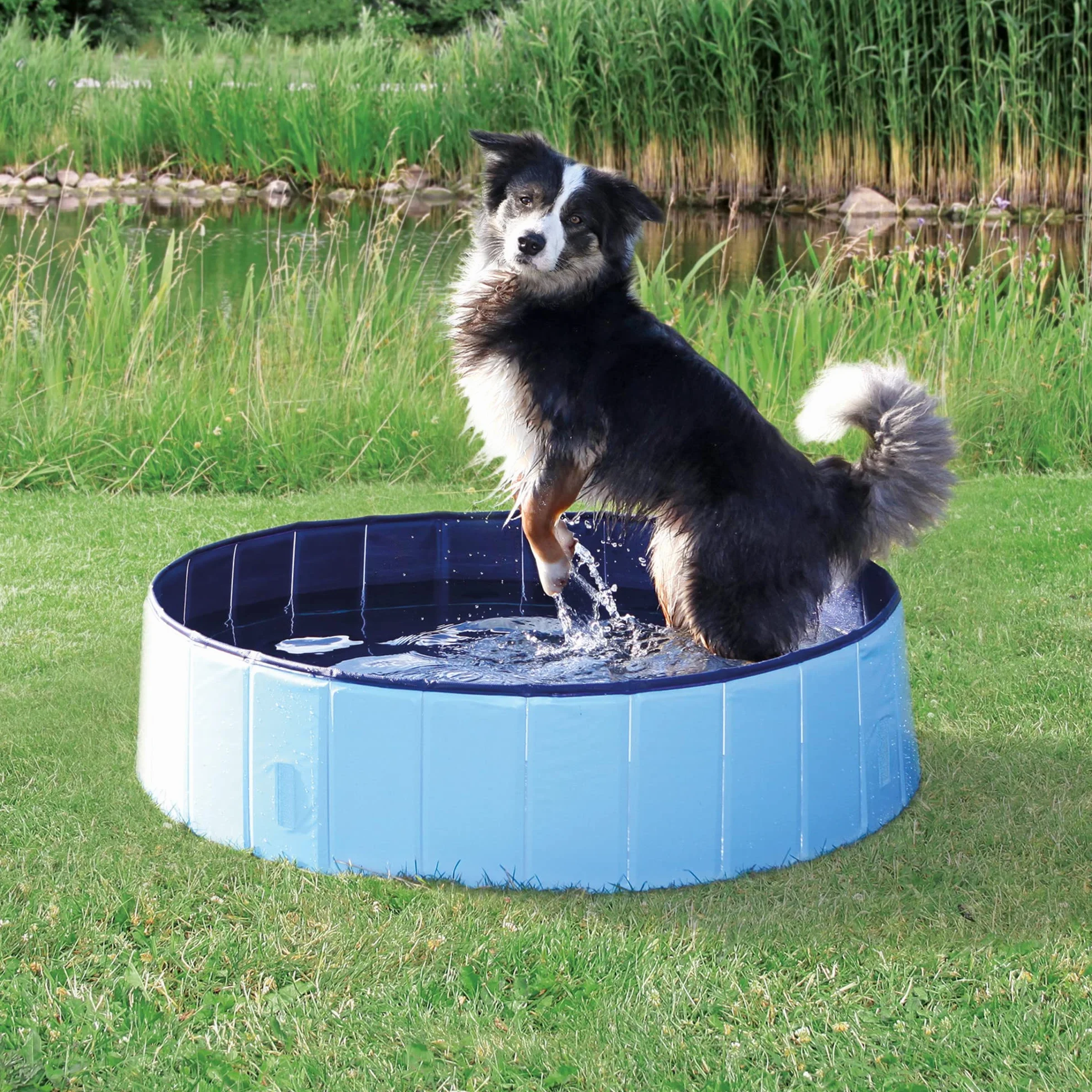 Trixie 39482 Basen dla psów, Ø 120 x 30 cm, turkusowy/szary