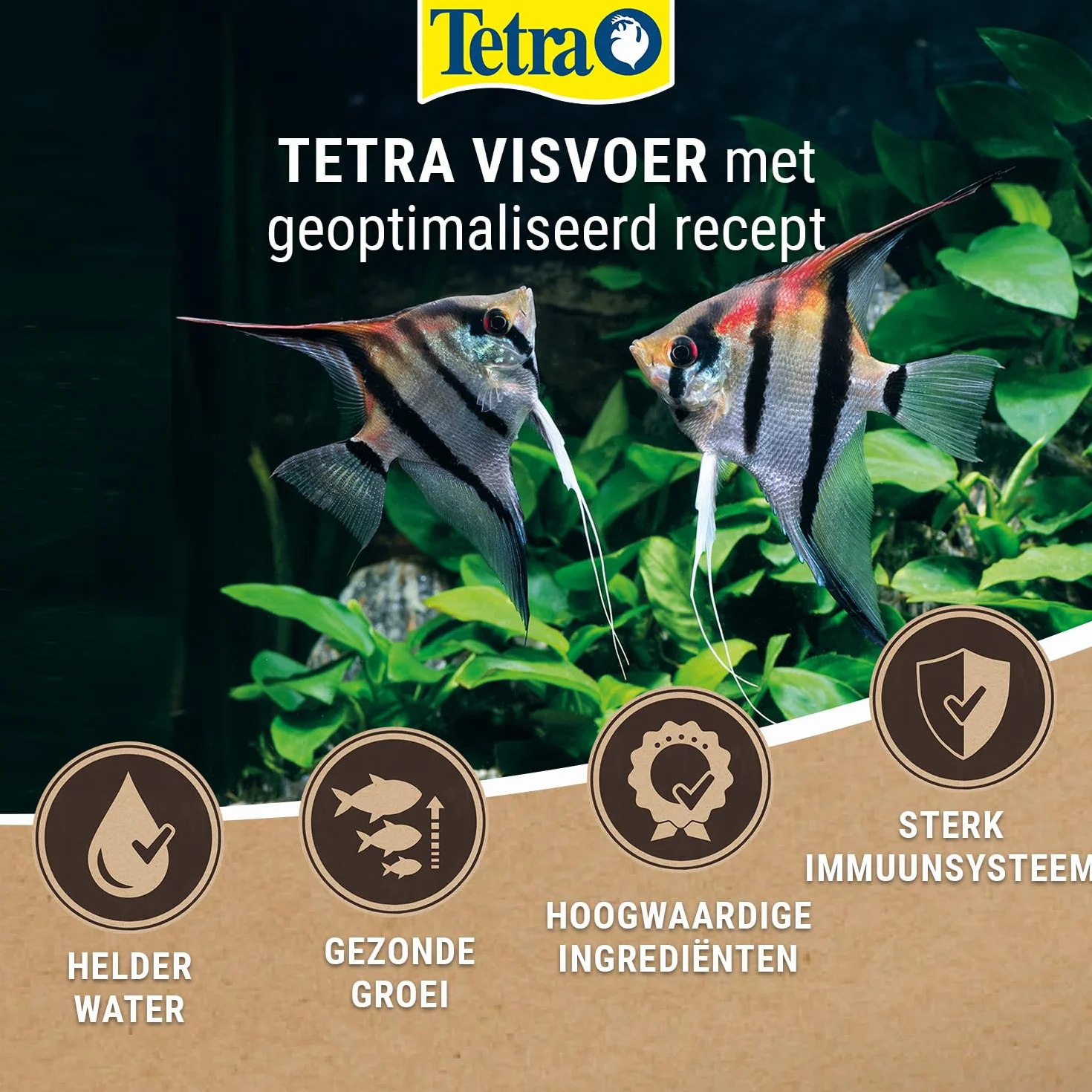 Tetra Rubin Granules – karma dla ryb w postaci granulatu z naturalnymi wzmacniaczami kolorów, idealna dla wszystkich ryb w środkowej warstwie wodnej akwarium, puszka 250 ml