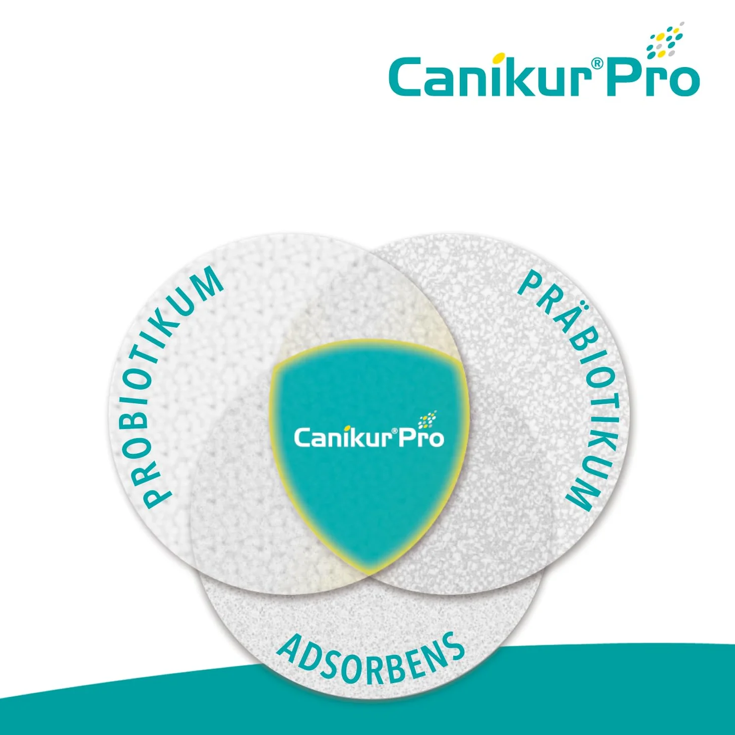 CANIKUR PRO suplement diety dla psów i kotów, 60 ml