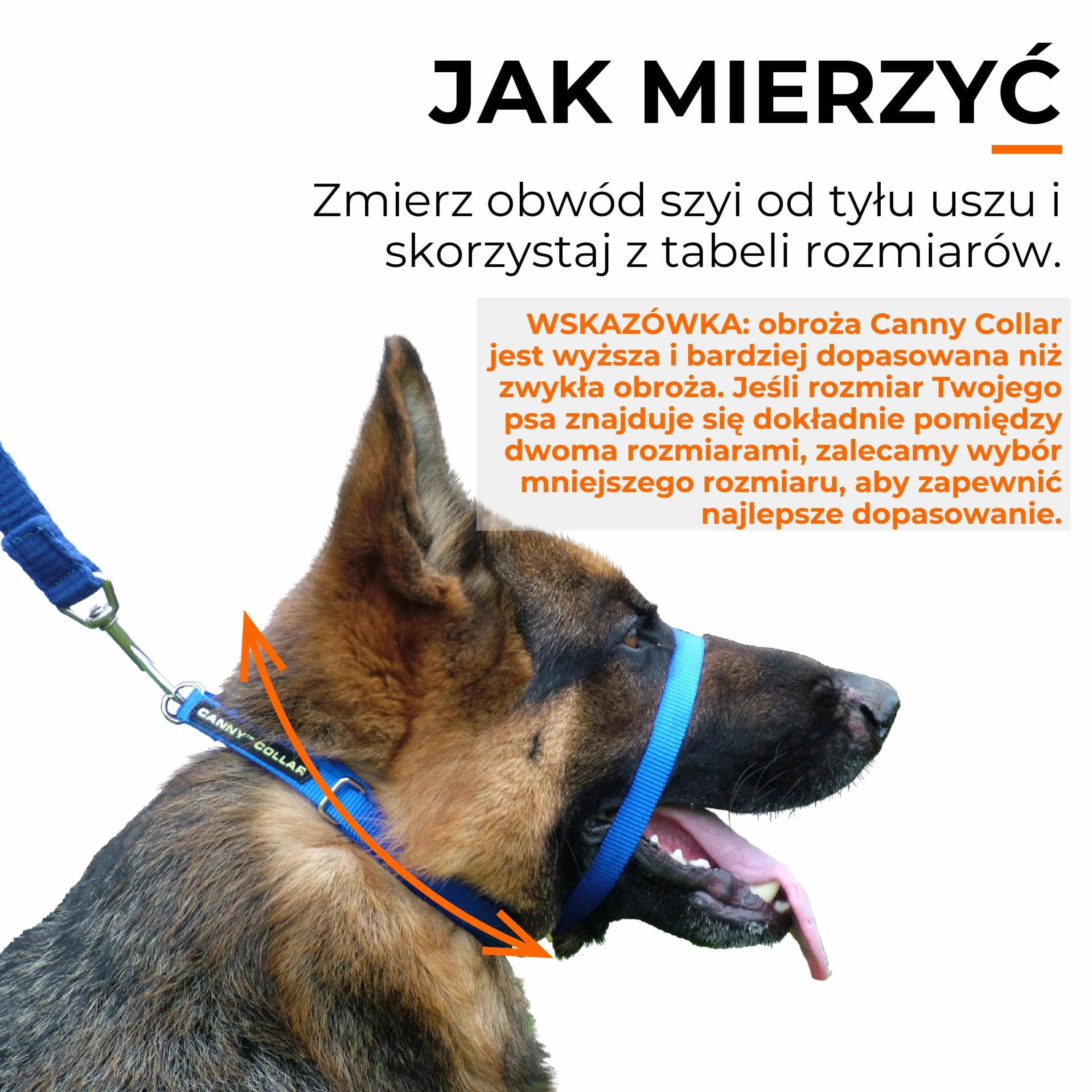 Canny Collar – Obroża Treningowa Przeciw Ciągnięciu | Kantar na Głowę, Uczy Chodzenia na Luźnej Smyczy | Spokojne, Bezstresowe Spacery | Czarna, Rozmiar 2