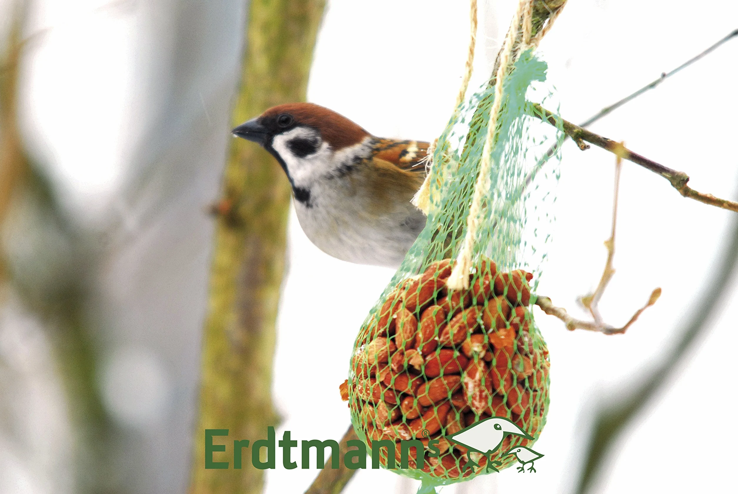ERDTMANNS - 12 Nussketten (8 teilig) für Wildvögel