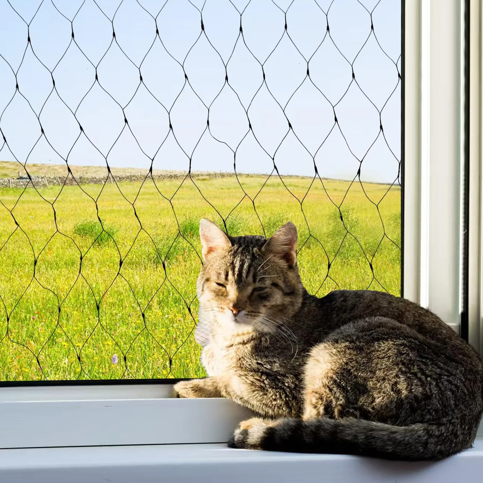 Siatka dla kota na balkon, bez wiercenia, ochrona przed kotami, na balkon, z 100 opaskami kablowymi, siatka na balkon, do ochrony kotów, ochrona przed upadkiem z balkonu, 4 x 10 m