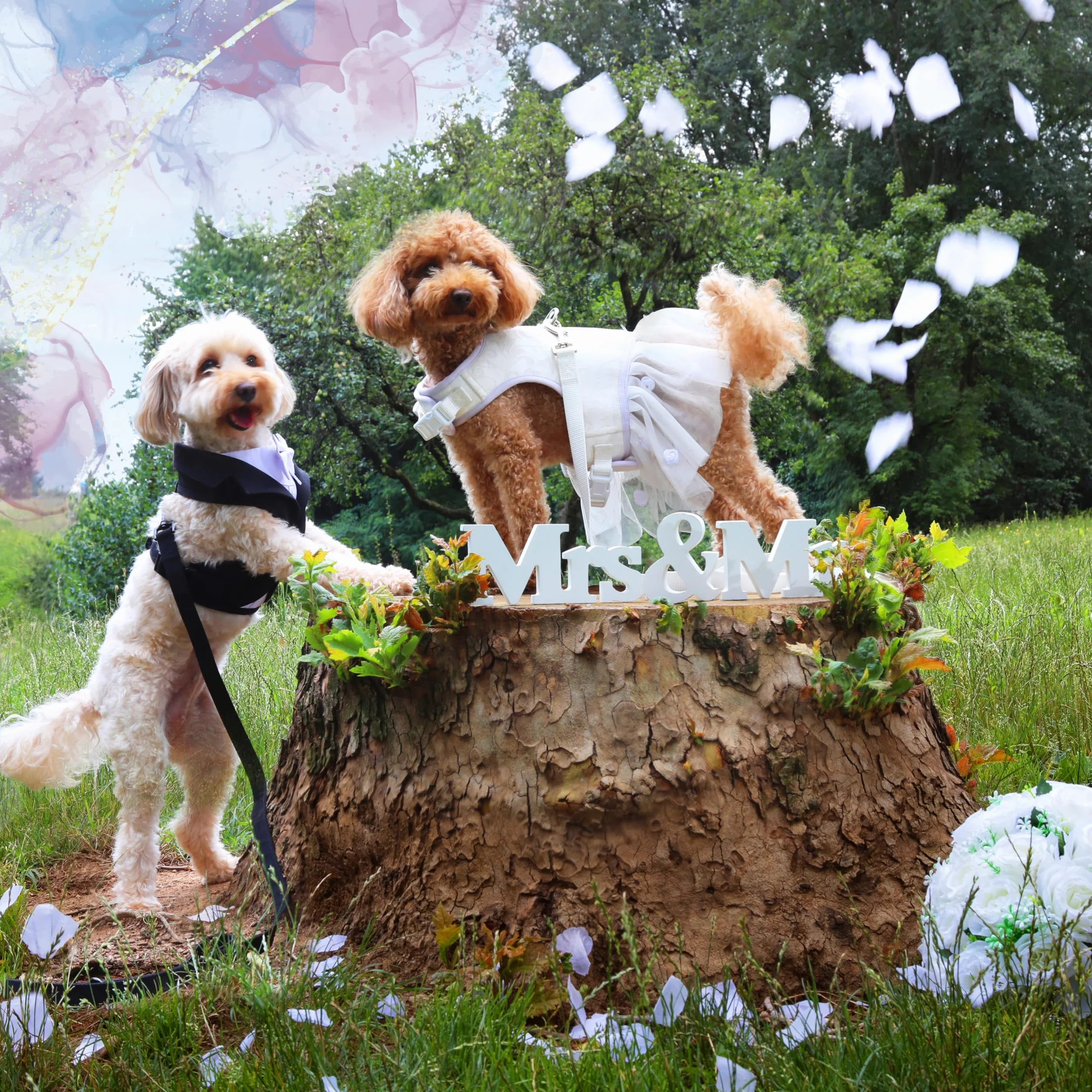 Croci Ceremony Bride uprząż dla psa na wesele, sukienka dla psa z tiulową spódnicą, Adamaszek, regulowana, M/41-45 cm