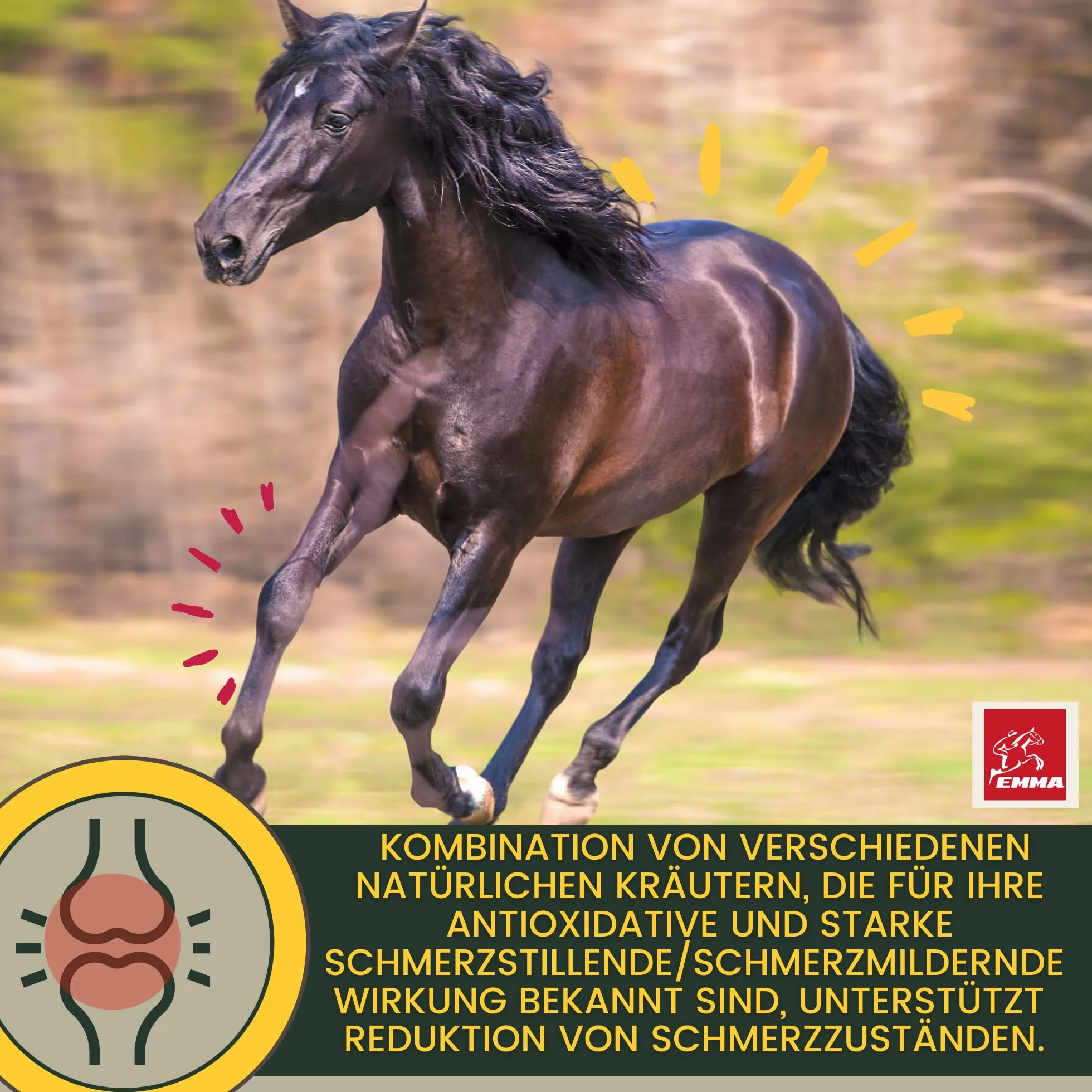 Equi P Pasta witaminowa Plus Glukozamina Chondroityna dla stawów ścięgna więzadła chrząstka 1 szt