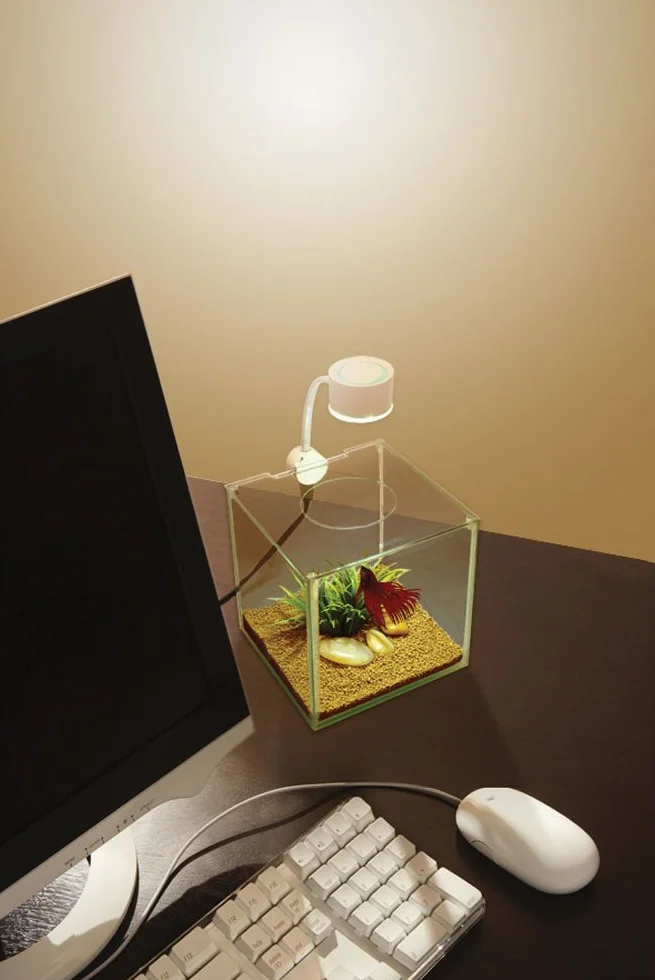 Marina Betta Kit akwarium szklane 3,4 l z lampką LED