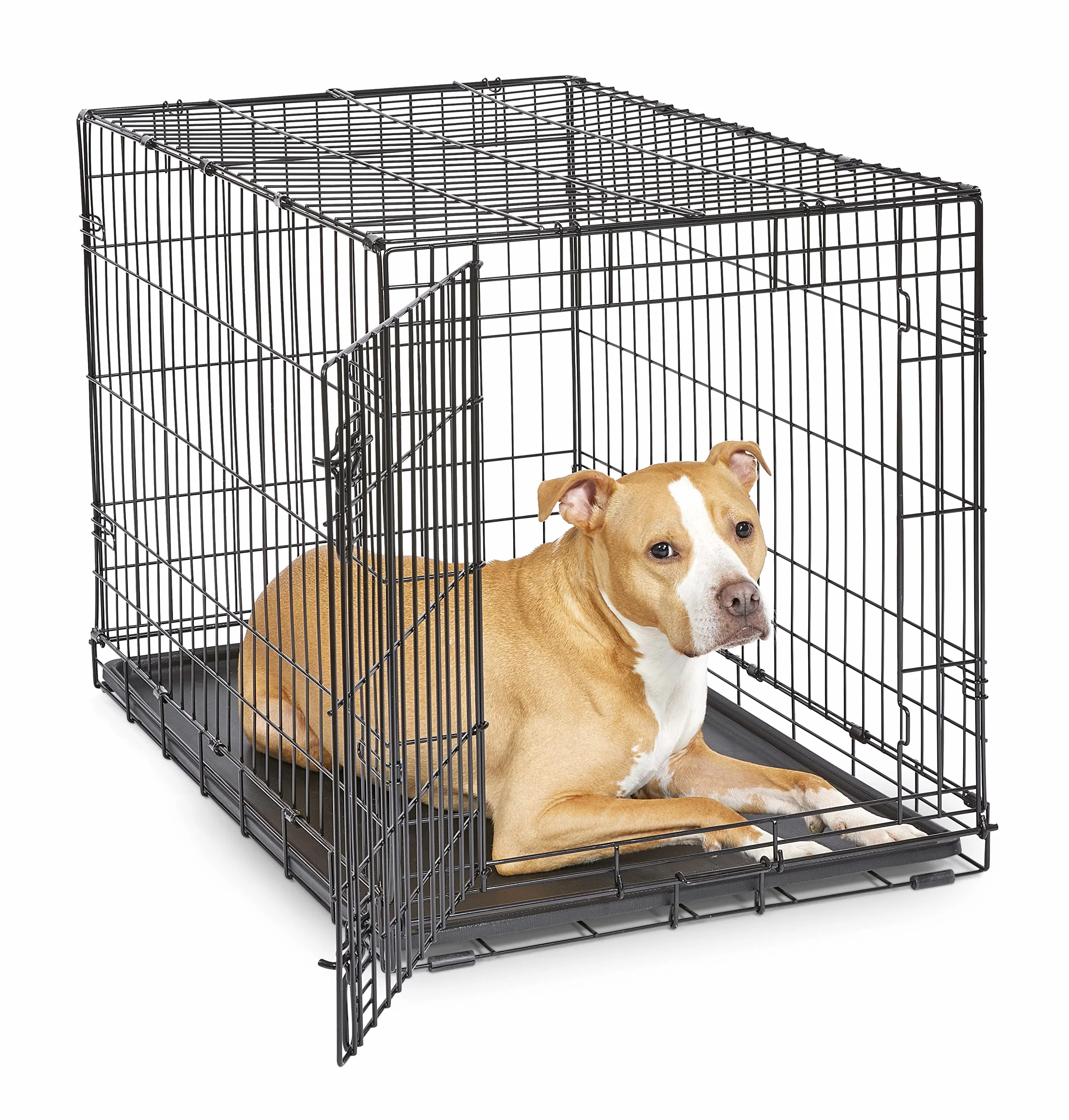 New World Single Door Folding Metal 36-Inch Dog Crate, Enhanced Security, Includes Leak-Proof Pan & Divider Panel, For Medium to Large Sized Breeds