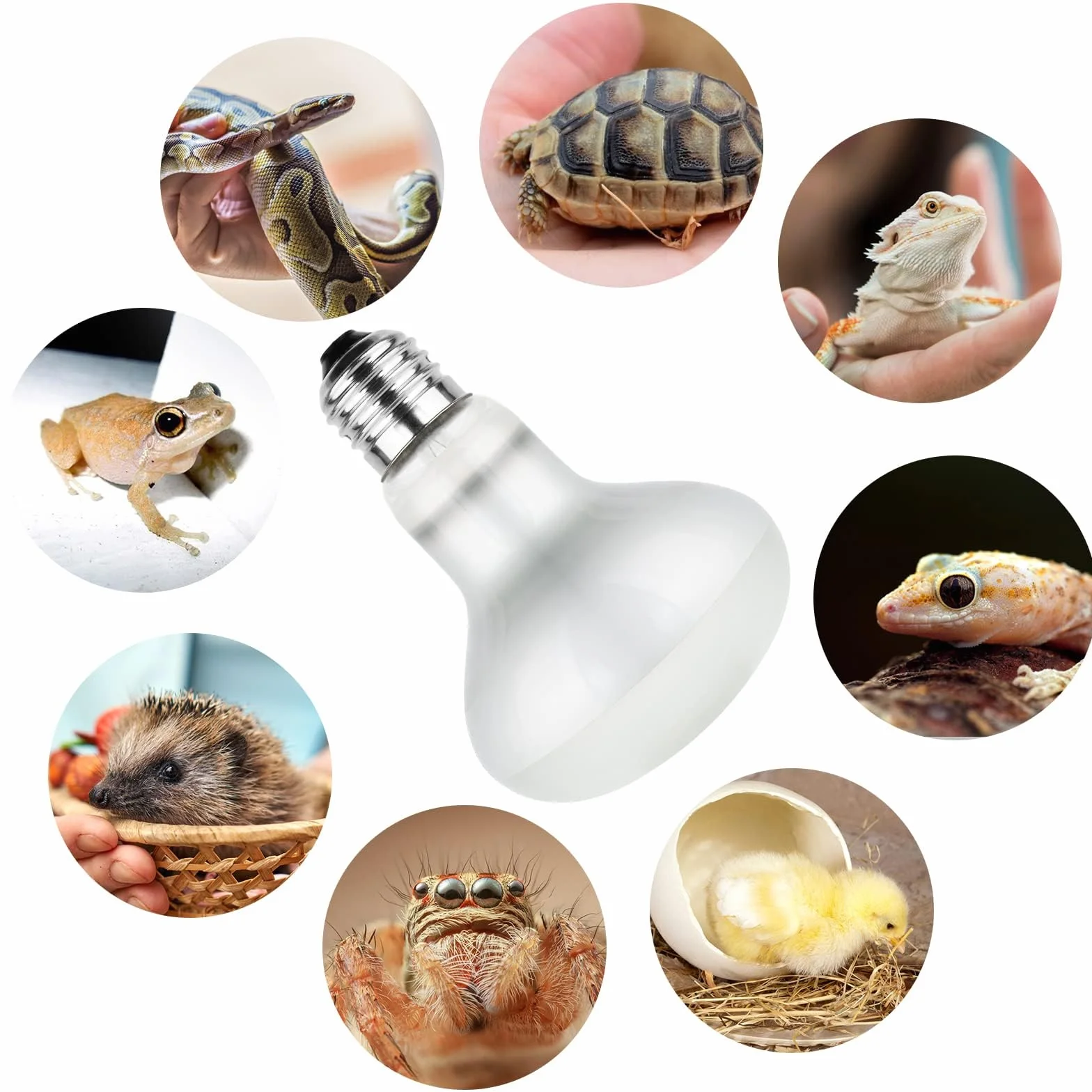 2 szt. Lampa grzewcza UVA do wspinaczki dla zwierząt domowych - 50 W-220 V