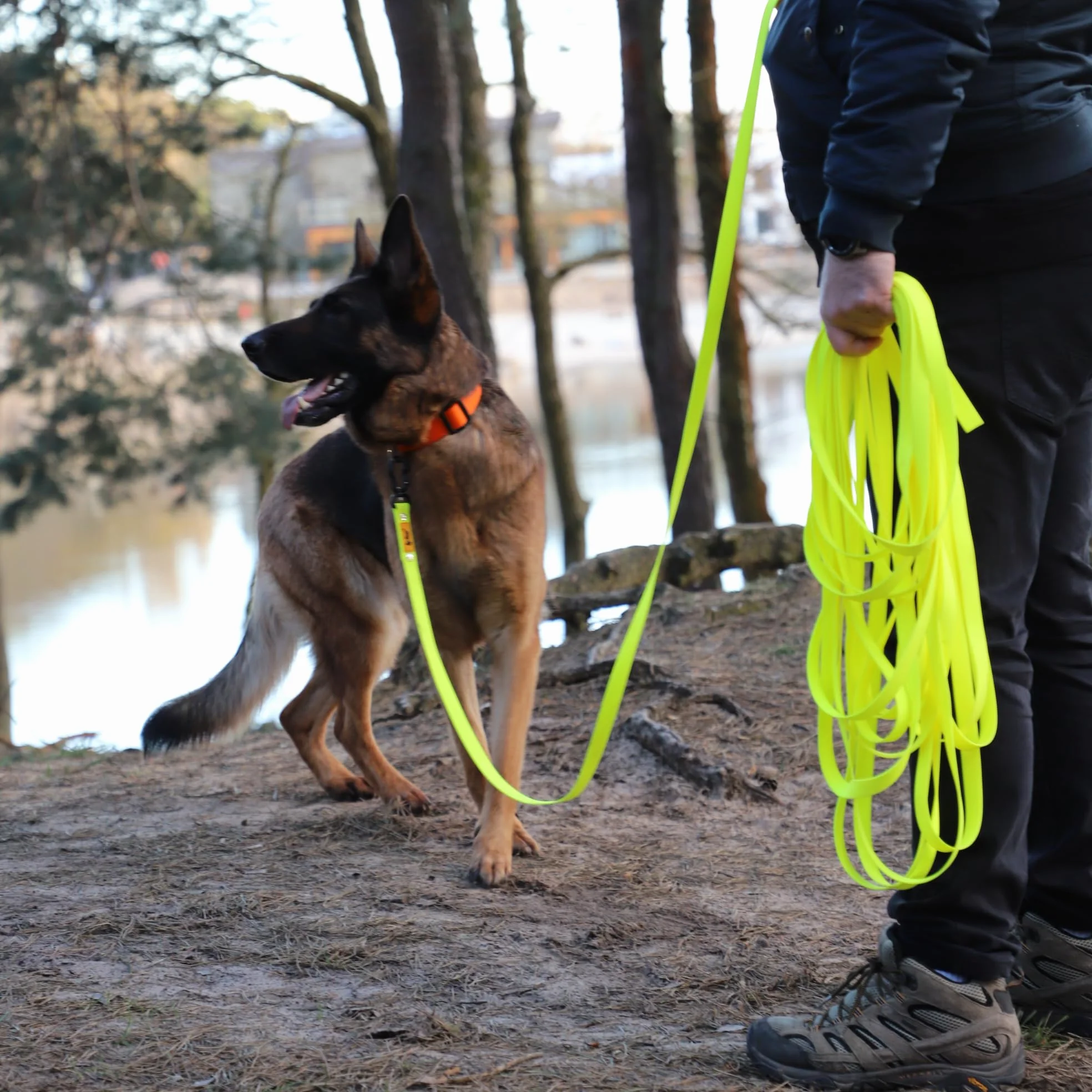 Dingo Smycz treningowa dla psów, spacery z psem, trening posłuszeństwa, karabińczyk, uniwersalny, praktyczny, szerokość 1,6 cm, długość 20 m, bez uchwytu, żółta 10178