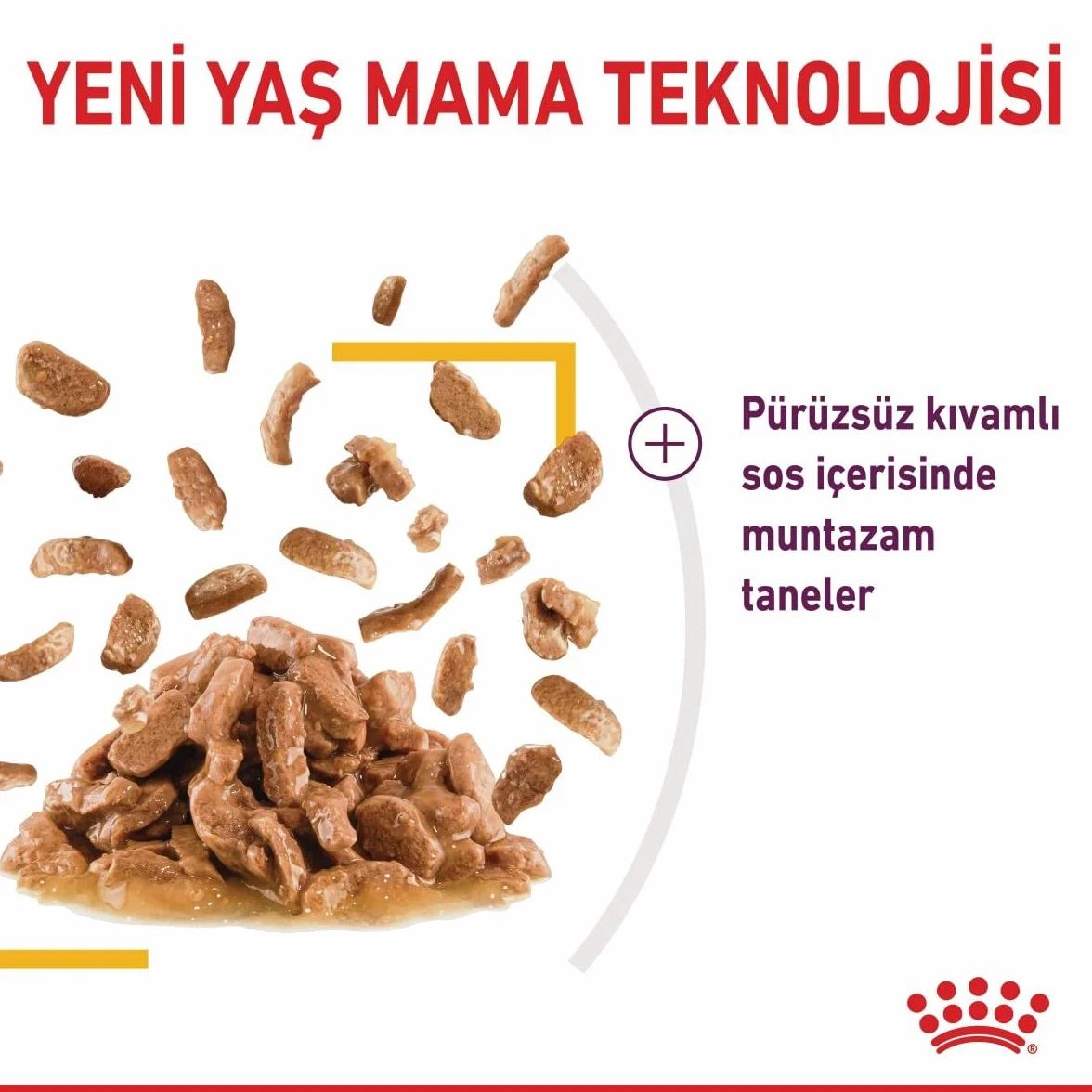 Royal Canin FHN Sensory Taste | Saszetka - kawałki w sosie | 12x85g