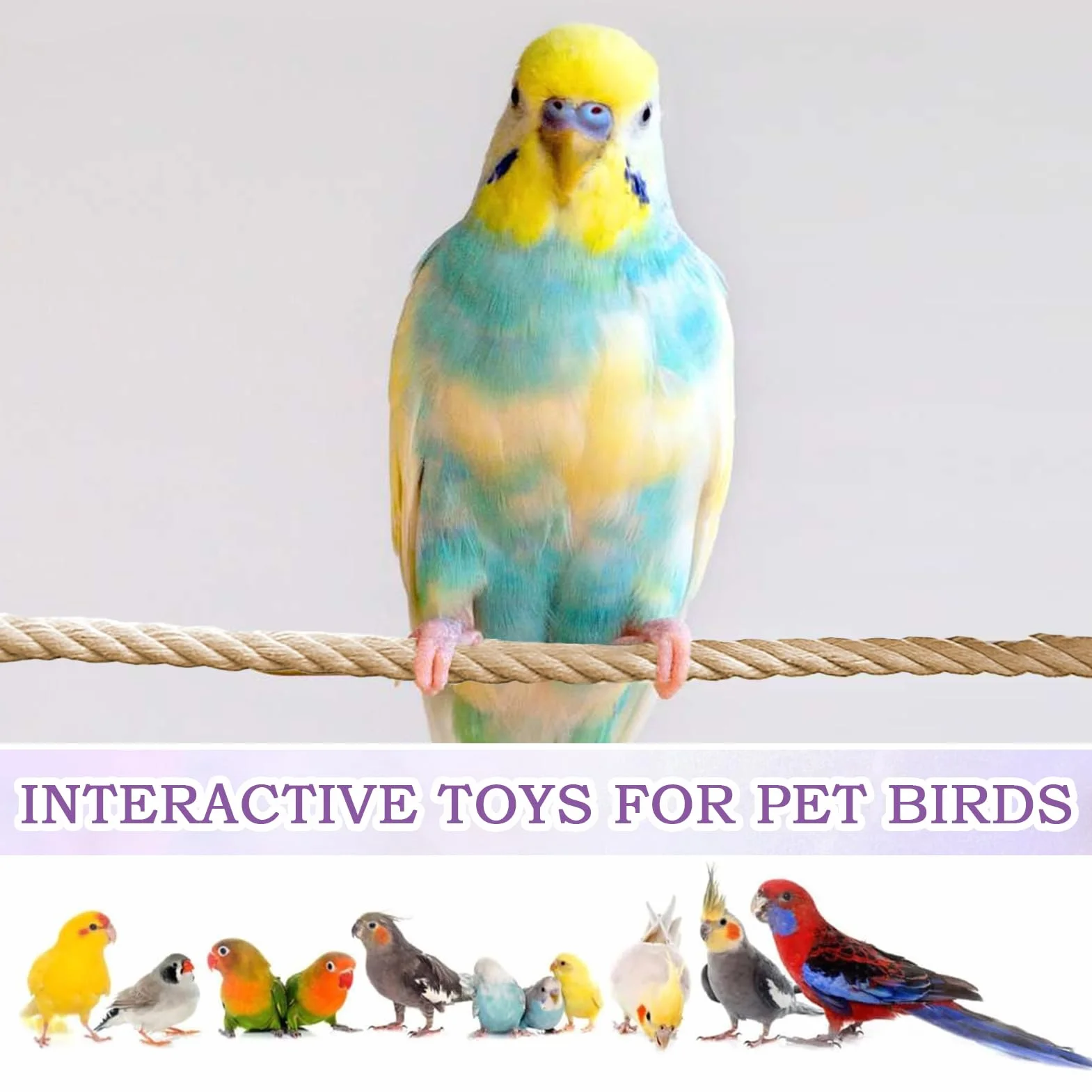Rope Perches Bird, Swing Rope Cages, 23.62x0.39in Perch Stand, Lightweight Cage Climbing, Birds Exercise Accessories for Cockatiels, Lovebirds, Parakeets, Sugar Gliders