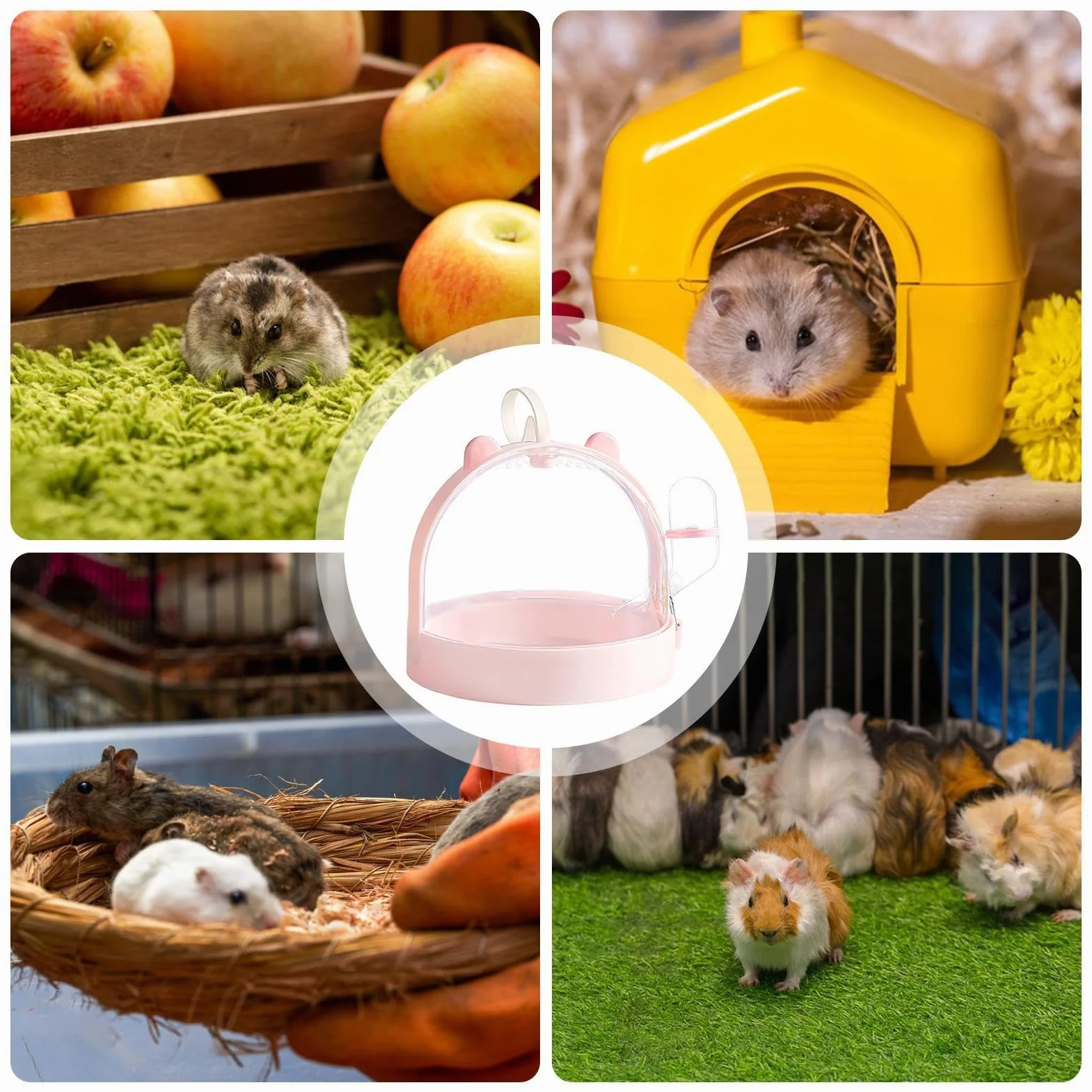 Hamster Carrier Cage, Dwarf Hamster Carrier, ma?y no?nik zwierz?t, klatka zewn?trzna Hamster, przeno?ny ma?y no?nik zwierz?t z otworami wentylacyjnymi i wbudowan? butelk? wod? i inne ma?e zwierz?ta