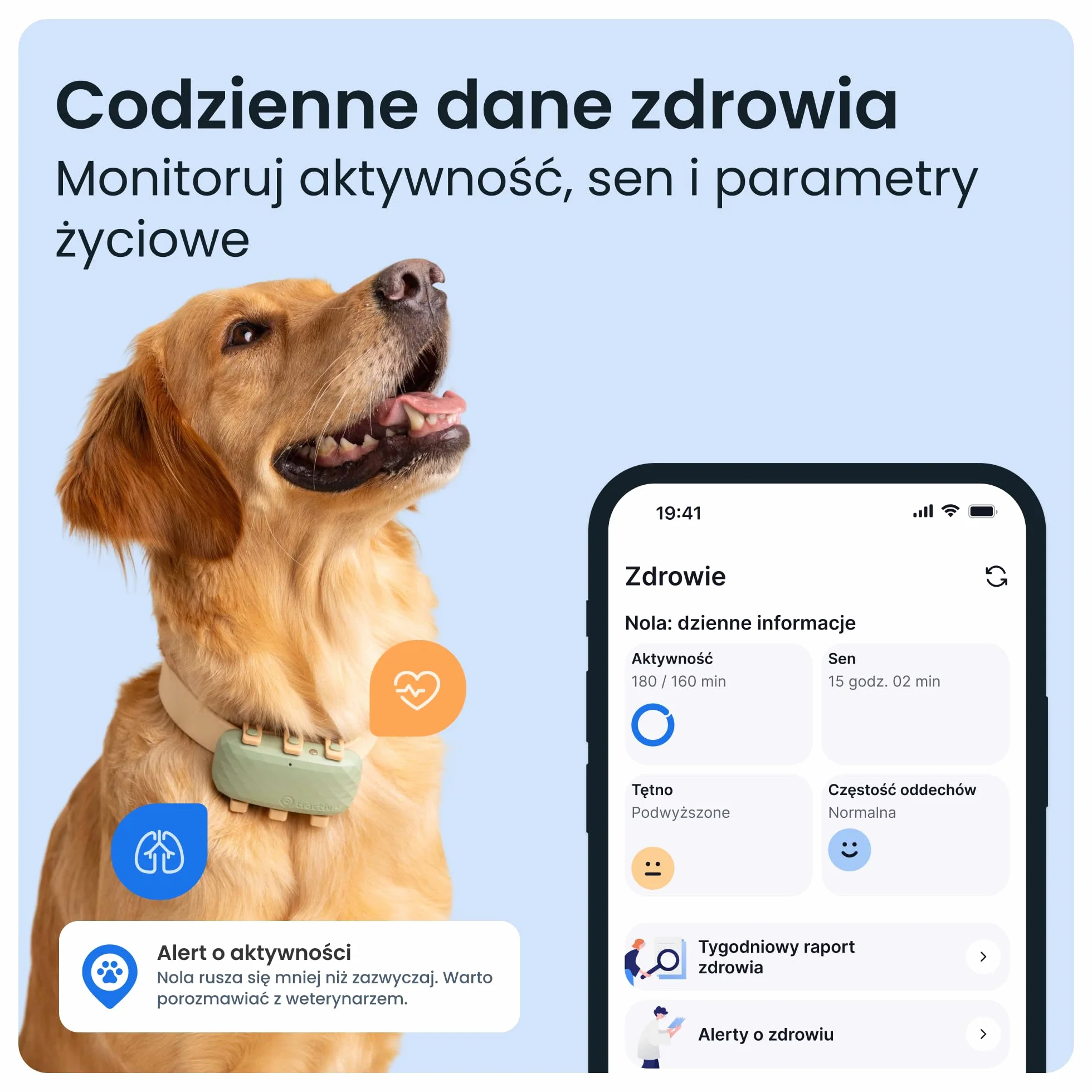 Tractive GPS XL Lokalizator dla psa Długi czas pracy baterii Śledzenie pozycji w czasie rzeczywistym