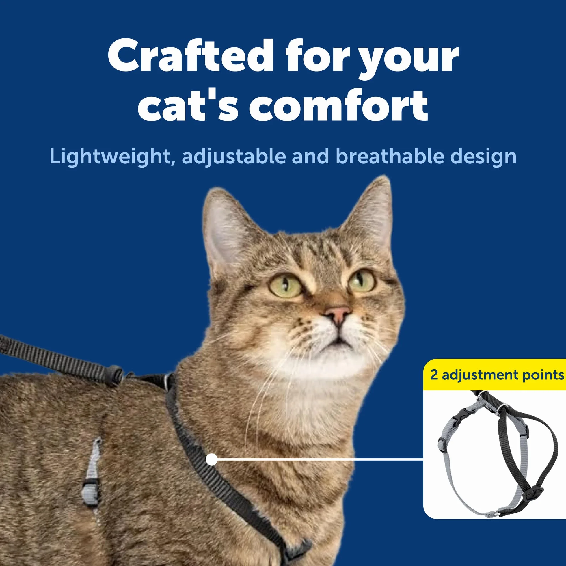 PetSafe Come With Me Kitty uprząż i smycz na bungee, rozmiar M, czarny/srebrny