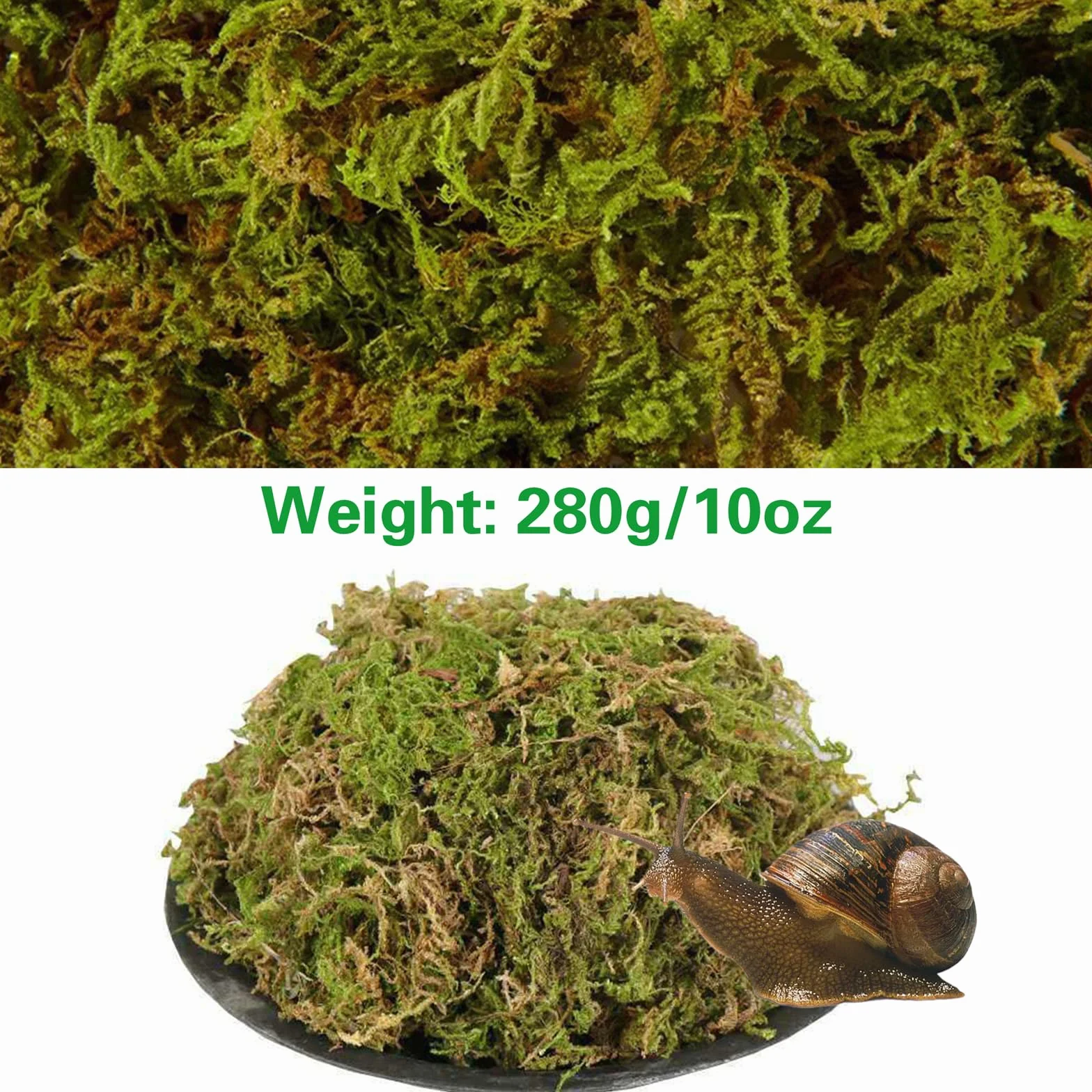 Naturalny mech premium dla gadów, zielony mech, mata mchowa, dekoracja do terrarium, ślimaków, żab, pustelników, żółwi