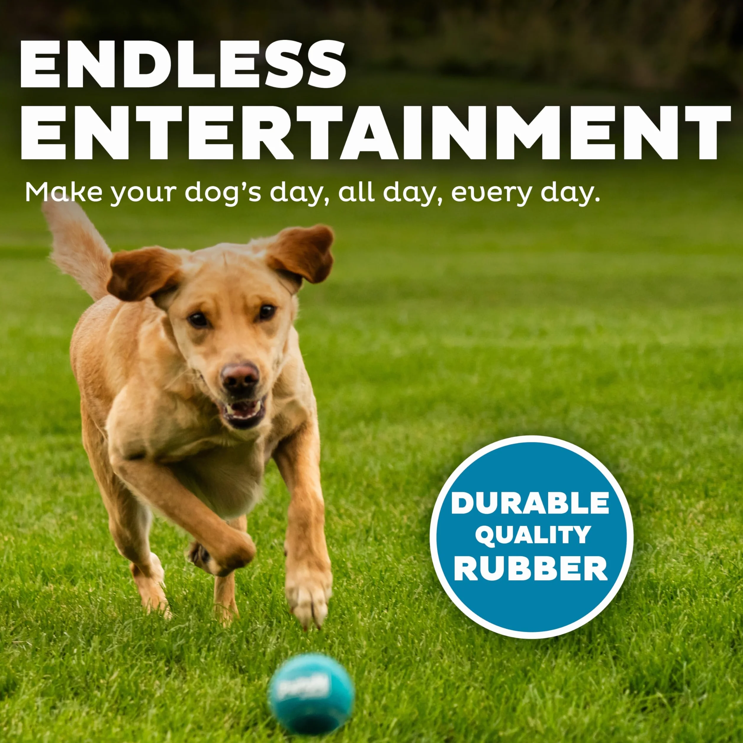 Outward Hound Squeaker Ballz Piłka do aportowania dla psa rozmiar M 4-pak