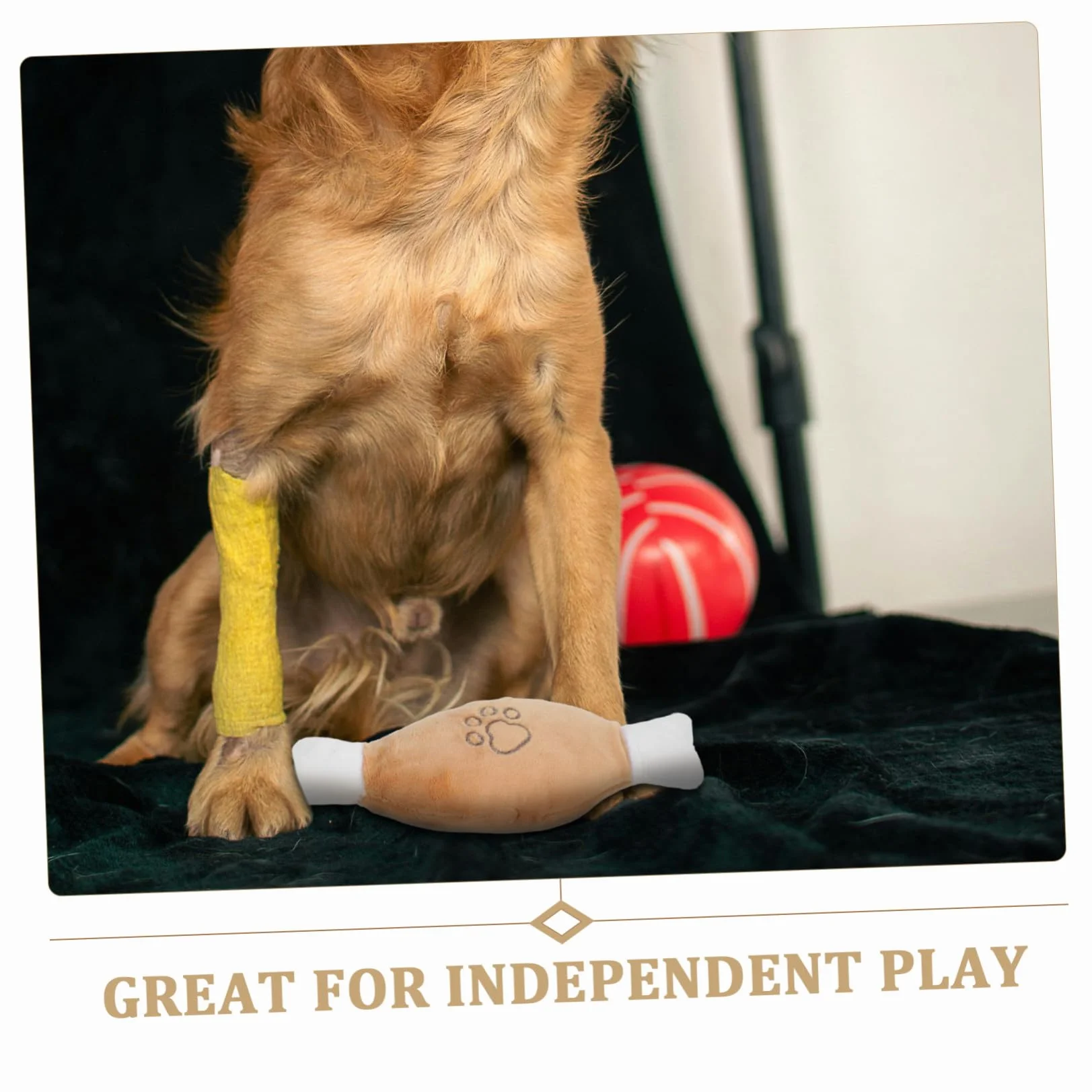 Squeaky Cartoon Bone Shaped Dog Toy Chewing Plaything for Training And Interactive Fun