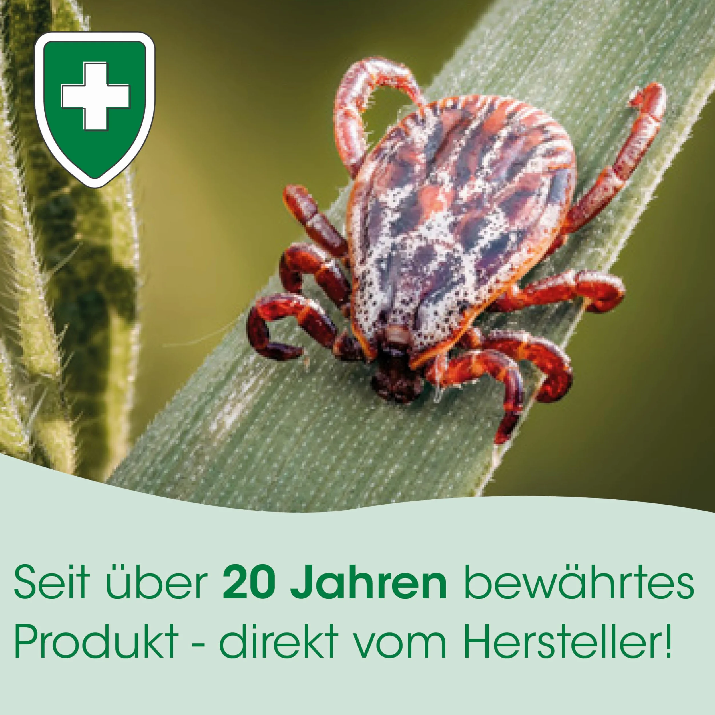 cdVet Naturprodukte TickEx SpotOn 50 ml – ochrona przed pchłami, roztoczami, szkodnikami, owadami, wyjątkowa długotrwała ochrona – składniki ziołowe – 50 ml