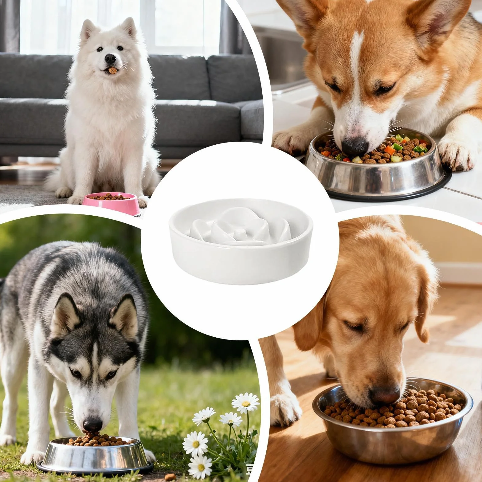 Dog Bowl Slow Feeder Interactive Feeding Game Puzzle Bowls Healthy Eating Prevents Bloating Choking Pet Bowl