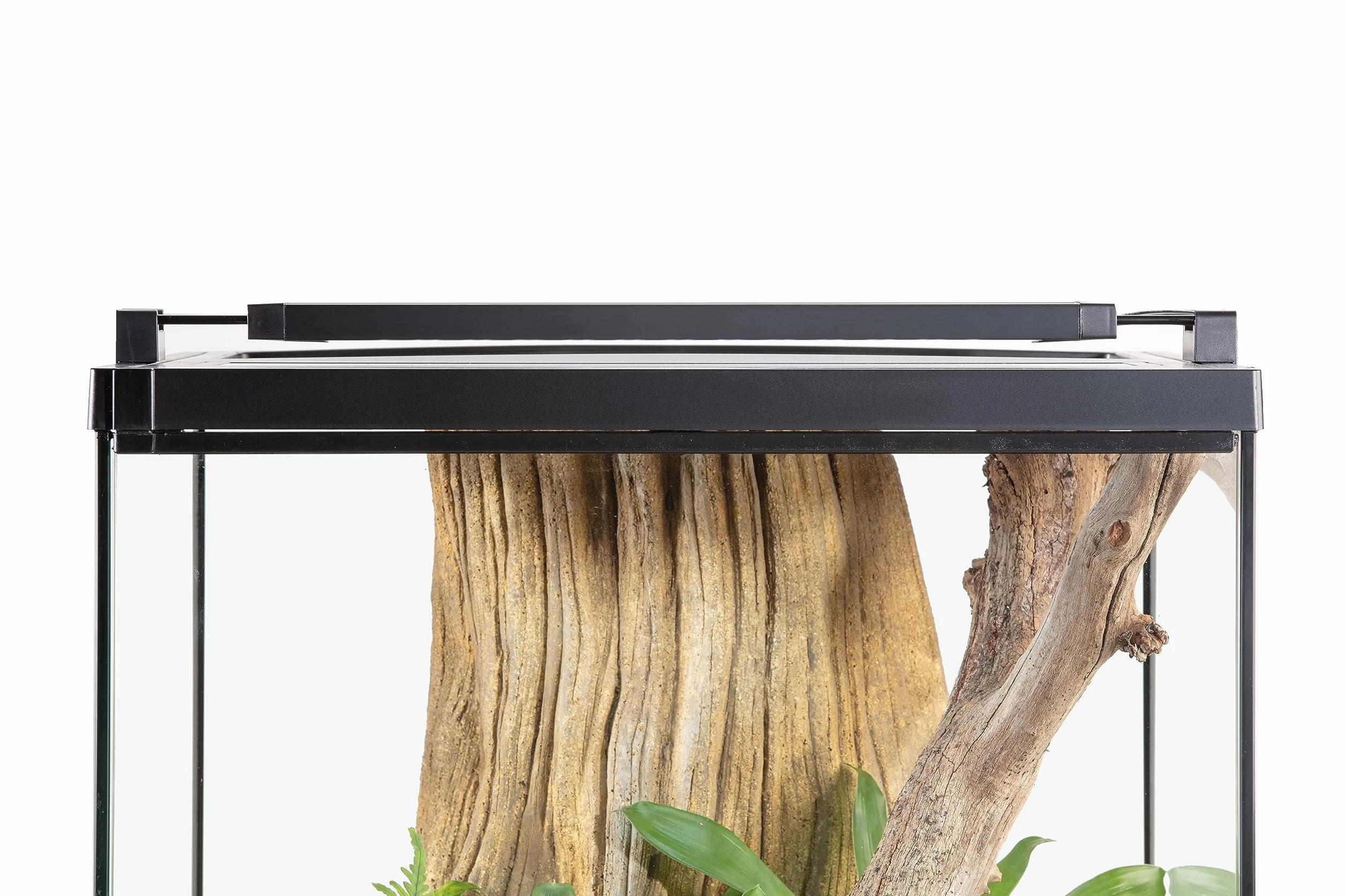 Exo Terra TerraSky oświetlenie LED terrarium z roślinami i gadami