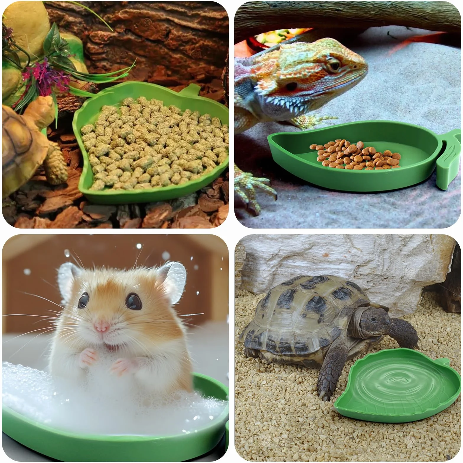 4 sztuki miseczek do terrariów, gadów, żółwi, miseczka do picia dla jaszczurek, z pęsetą, kształtami liści i mango, dla jaszczurek, węży, żółwi, szczurów, 4 sztuki