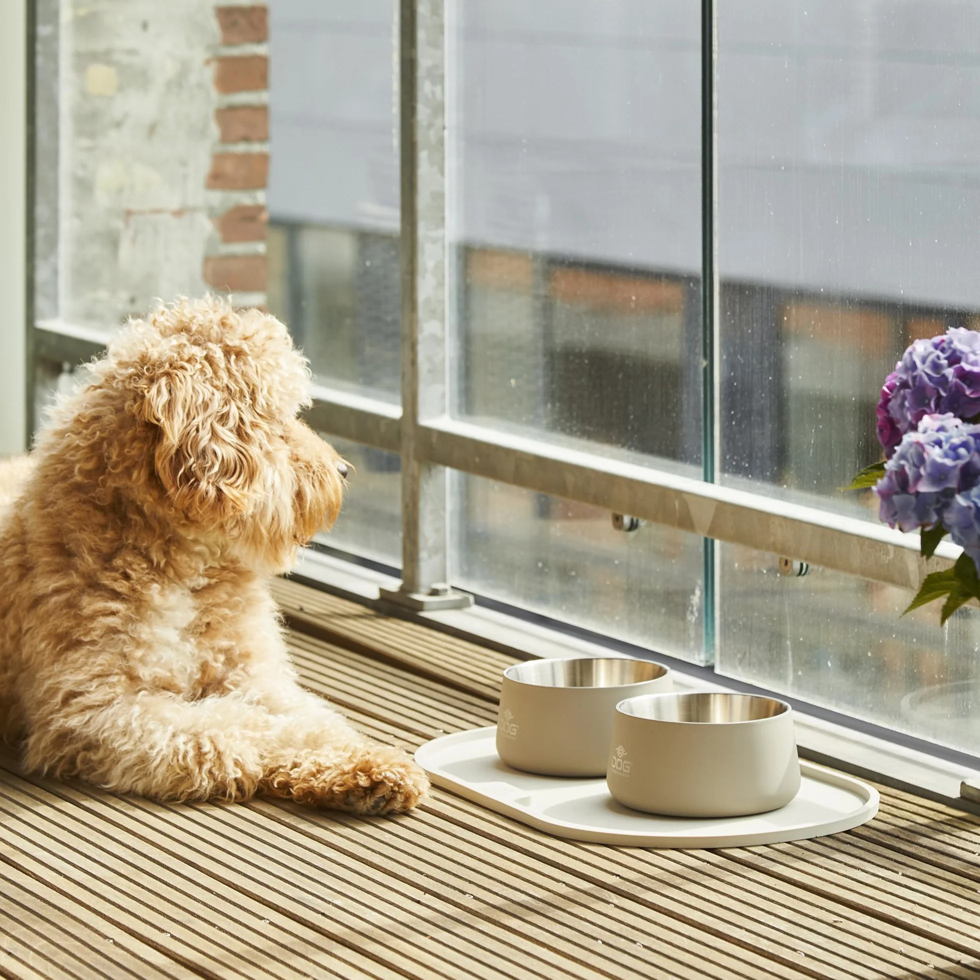 DOG Copenhagen Vega Bowl miska dla psa stal nierdzewna M/L zielony wyścigowy