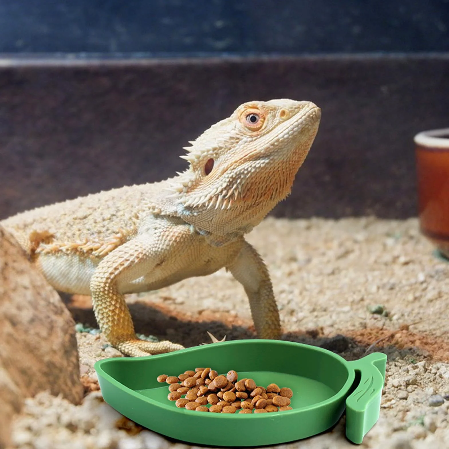 4 sztuki miseczek do terrariów, gadów, żółwi, miseczka do picia dla jaszczurek, z pęsetą, kształtami liści i mango, dla jaszczurek, węży, żółwi, szczurów, 4 sztuki