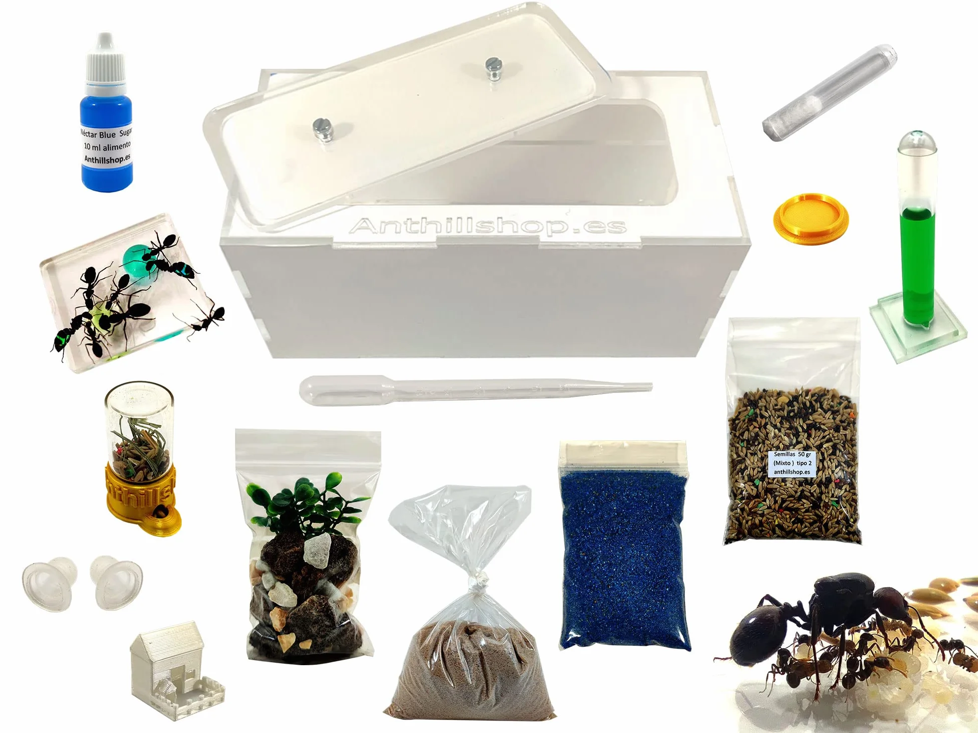 Anthillshop. pl - Mrówkojnik naturalny piasek akrylowy 1- Z mrówkami w zestawie┃20-30 mrówek.