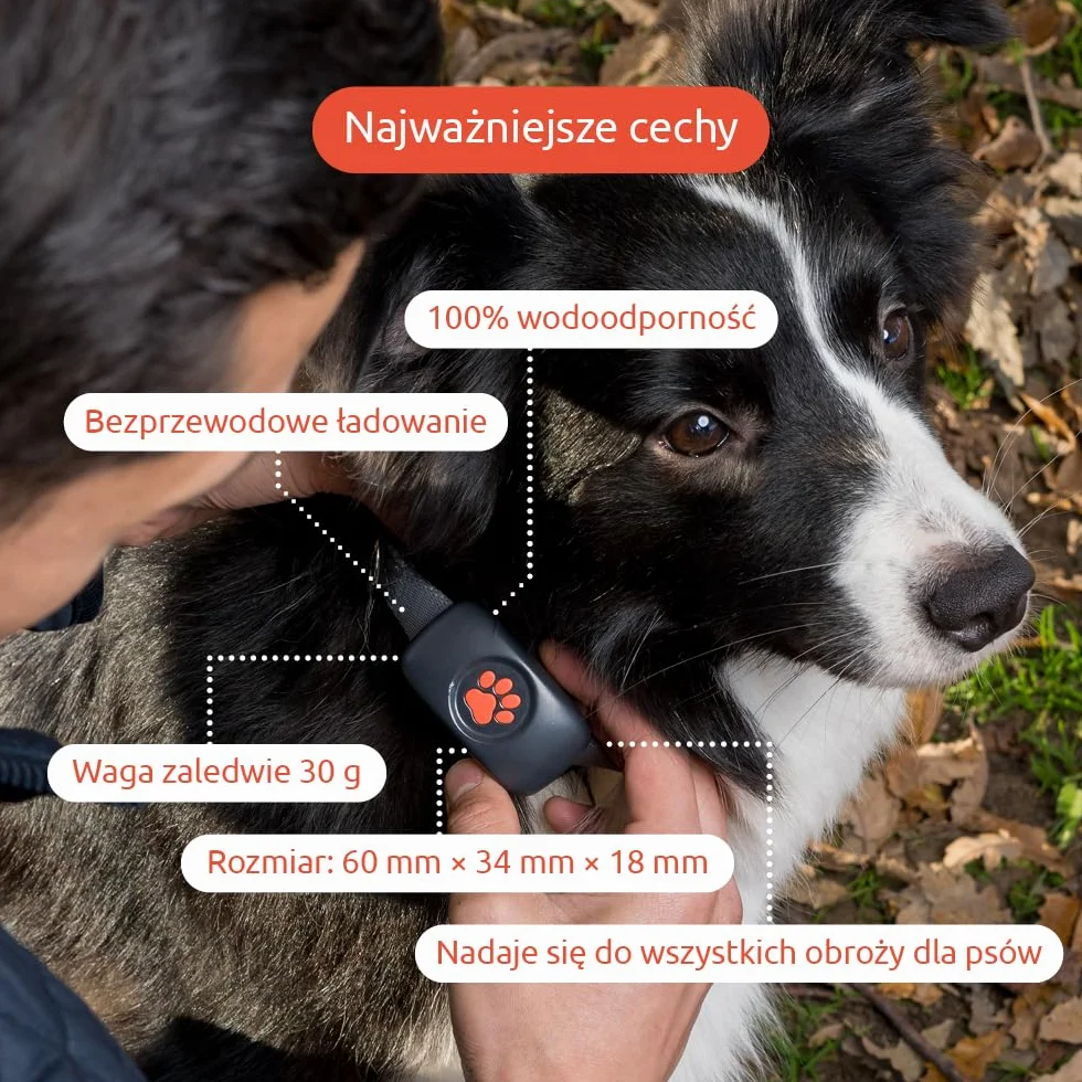 PitPat Lokalizator GPS dla psów – nie wymaga subskrypcji – odpowiedni dla wszystkich psów i pasuje do wszystkich obroży – 100% wodoodporny lokalizator dla zwierząt domowych (Czarny)