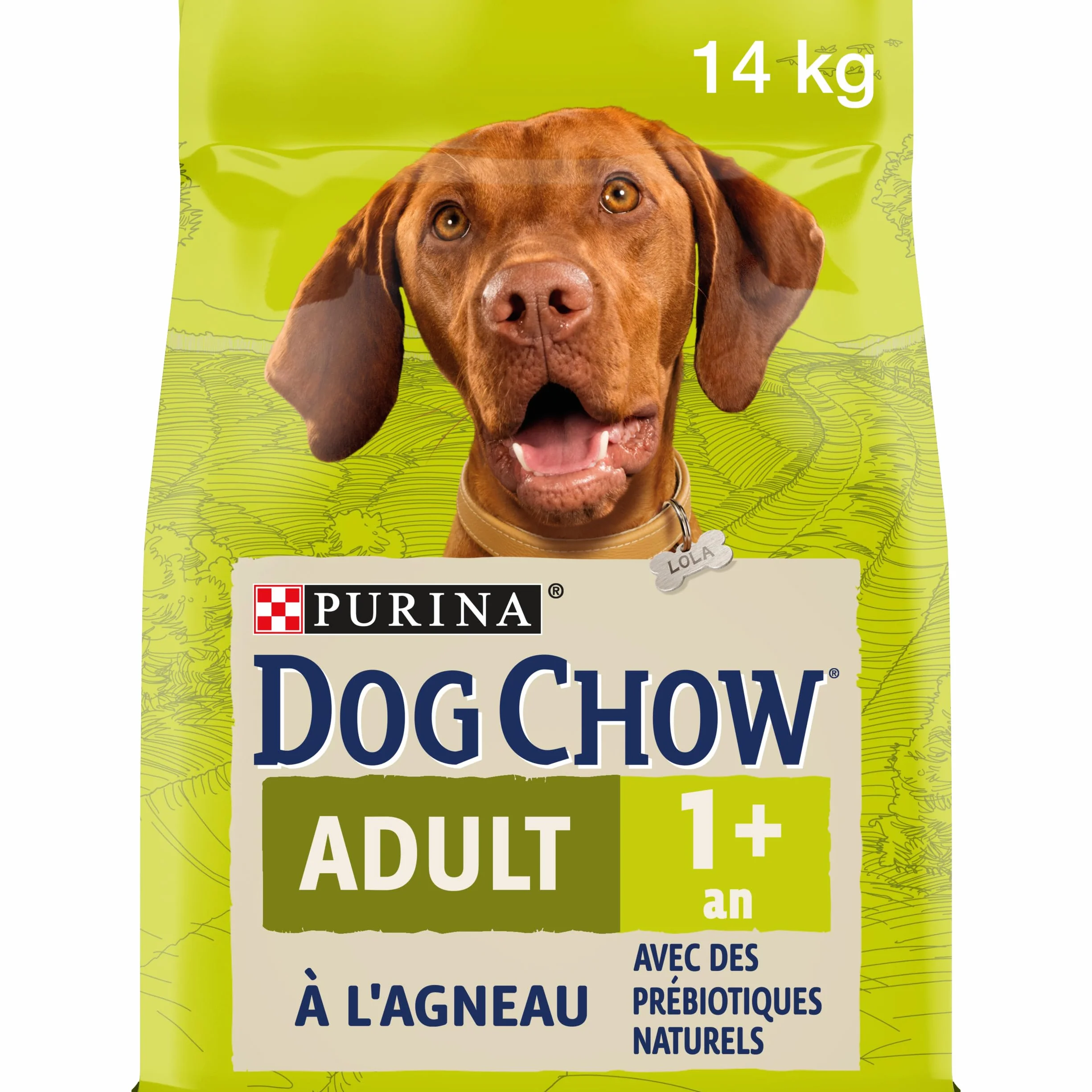 PURINA DOG CHOW | Dorosły | Karma dla dużych psów | Jagnięcina | Zestaw 1 szt. | 14 kg | Torba