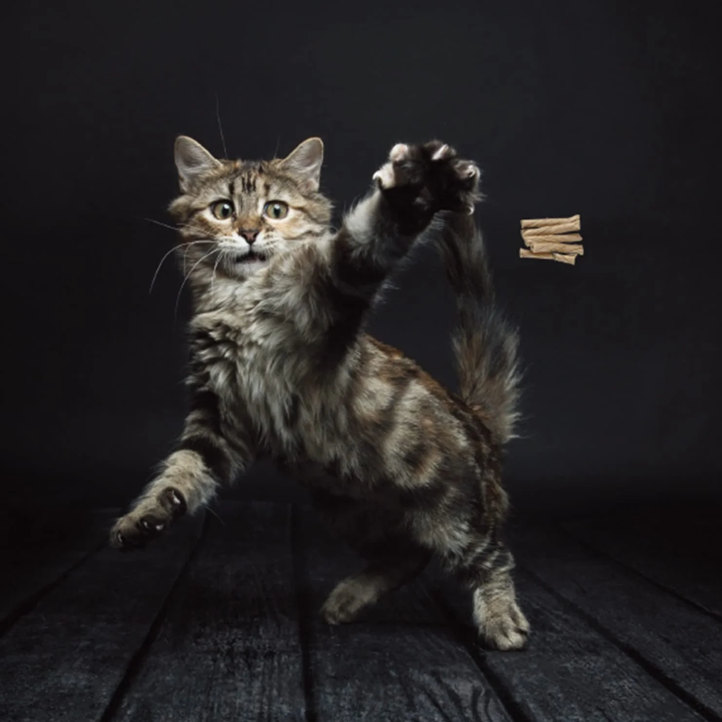 Cat Dancer Zabawka, Brązowy, 15,2 cm