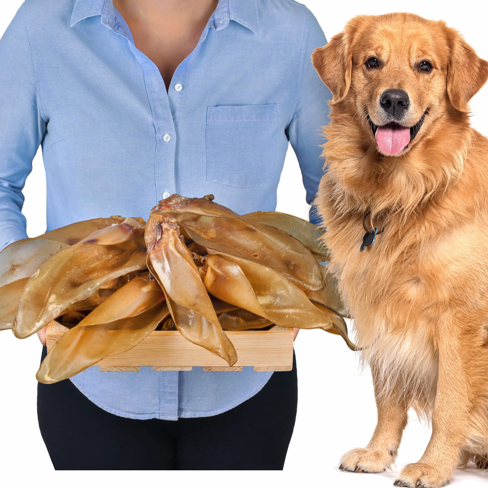 Zestaw 10 naturalnych uszu wołowych z muszlą dla psów – wzmocnienie zdrowia i higieny jamy ustnej psa