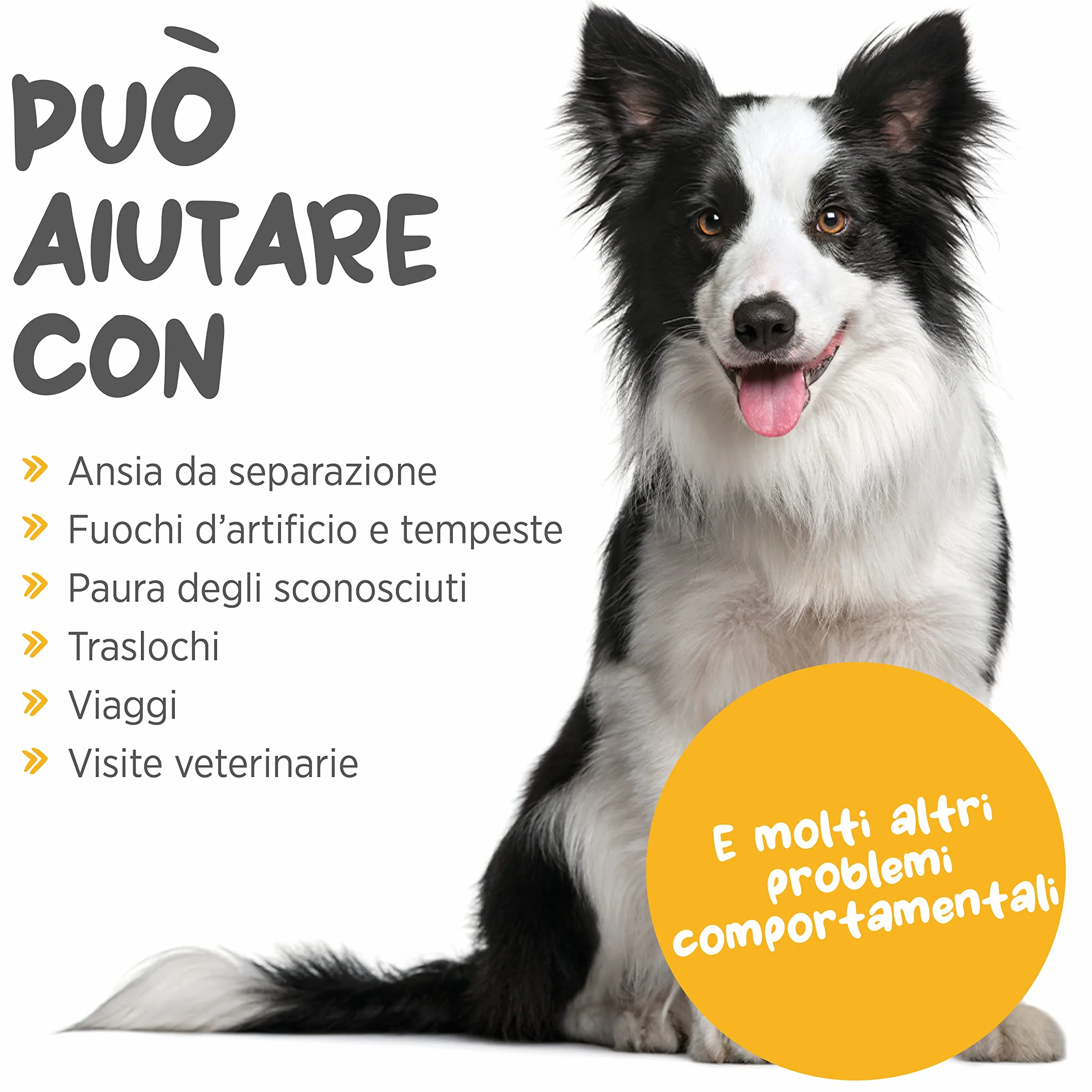 Maxxipaws Maxxicalm Naturalny suplement uspokajający dla psów 120 tabletek