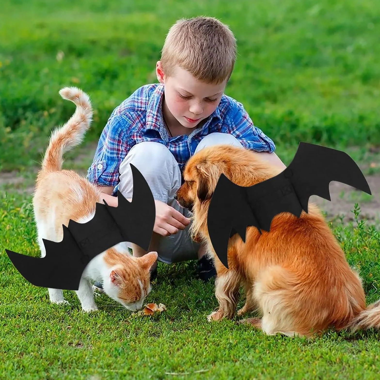 Kostium Psa na Halloween - Skrzydła Nietoperza dla Małego Psa (Czarny)