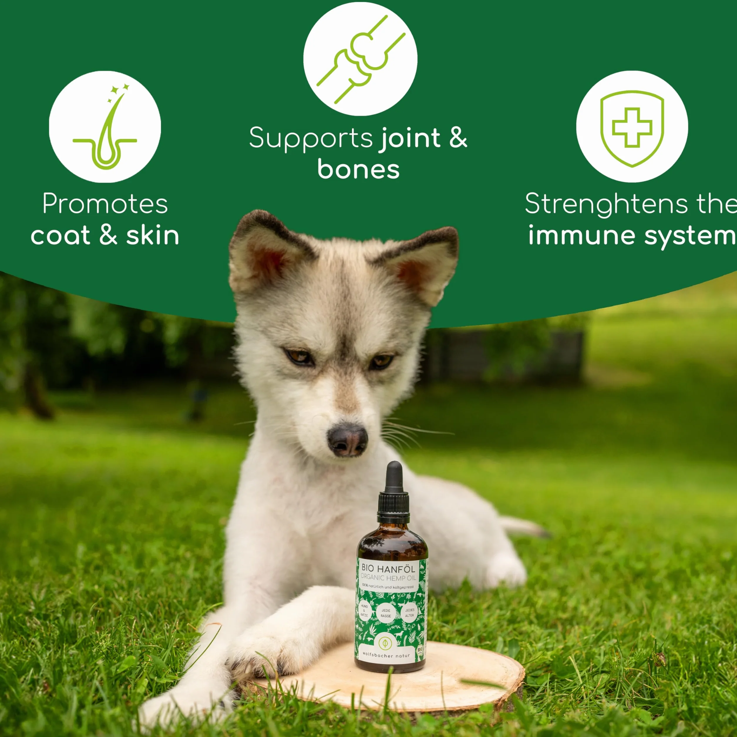 Olej konopny BIO dla psów i kotów 50ml I 100% naturalny, tłoczony na zimno - wsparcie sierści i skóry dzięki Omega 3-6-9, środek uspokajający dla psów - DE-ÖKO-060
