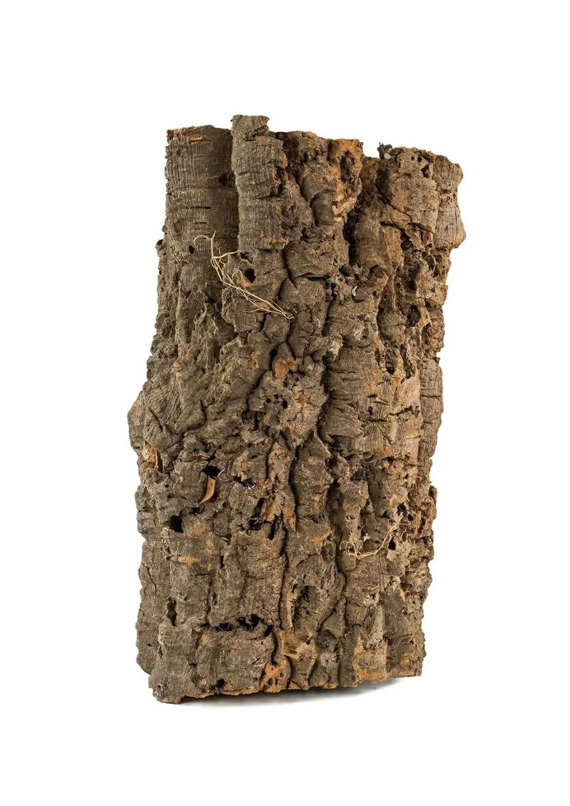 Rurka korkowa Happet - naturalna kora dębu korkowego – akcesorium wspinaczkowe dla gadów, bezkręgowców i małych ssaków, uniwersalne i estetyczne do terrariów i wolier (10-15 cm x 20 cm)
