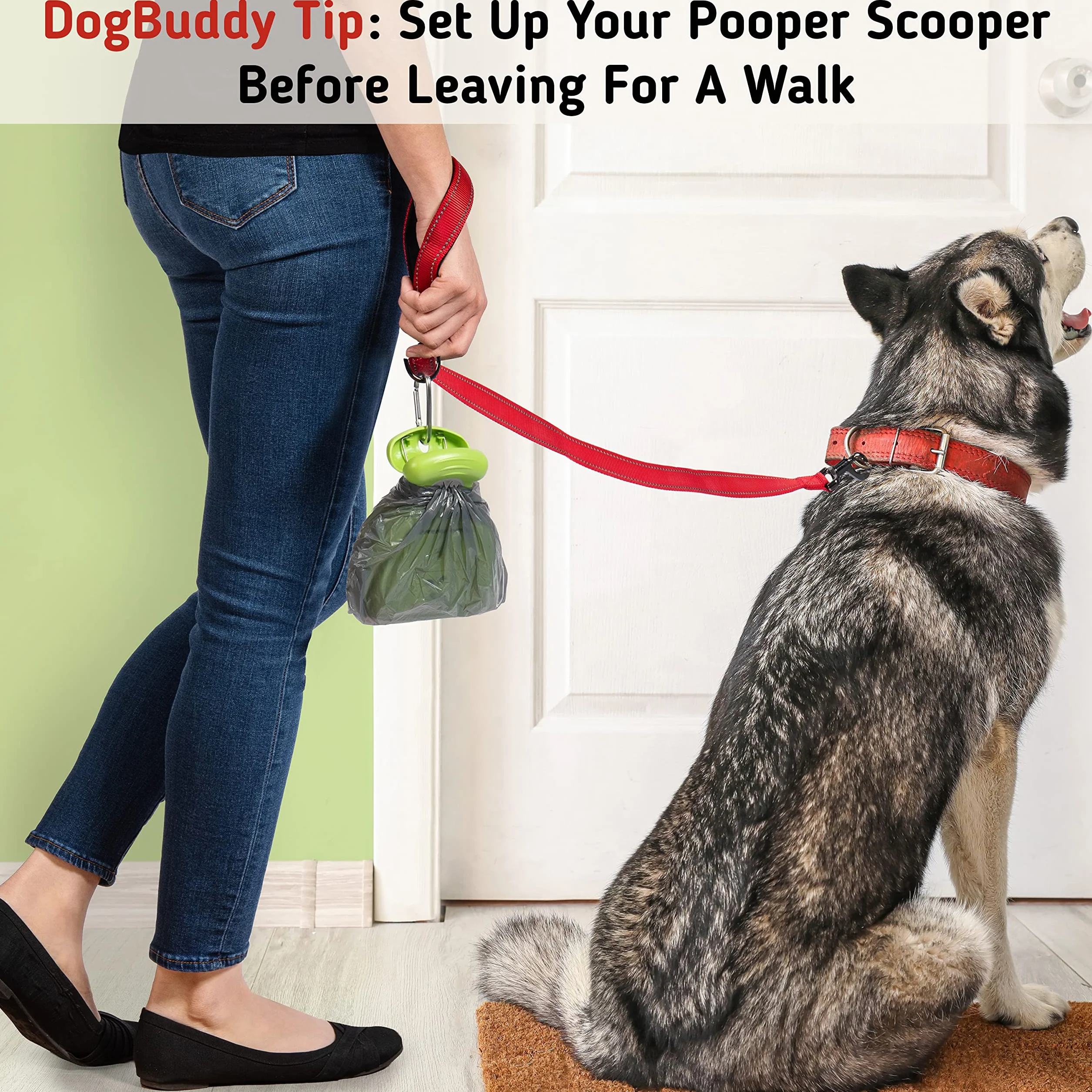 DogBuddy Przenośna szufelka na odchody dla psów, z dozownikiem torby i klipsem do smyczy, średnia, kiwi