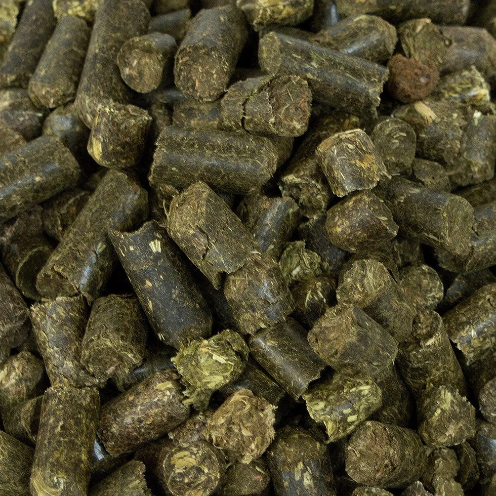 Mühldorfer Heucobs bezpyłowy, 20 kg, zestaw ognia, do suchej karmienia, bogata w surowe podłoże dla wszystkich koni, również dla alergików