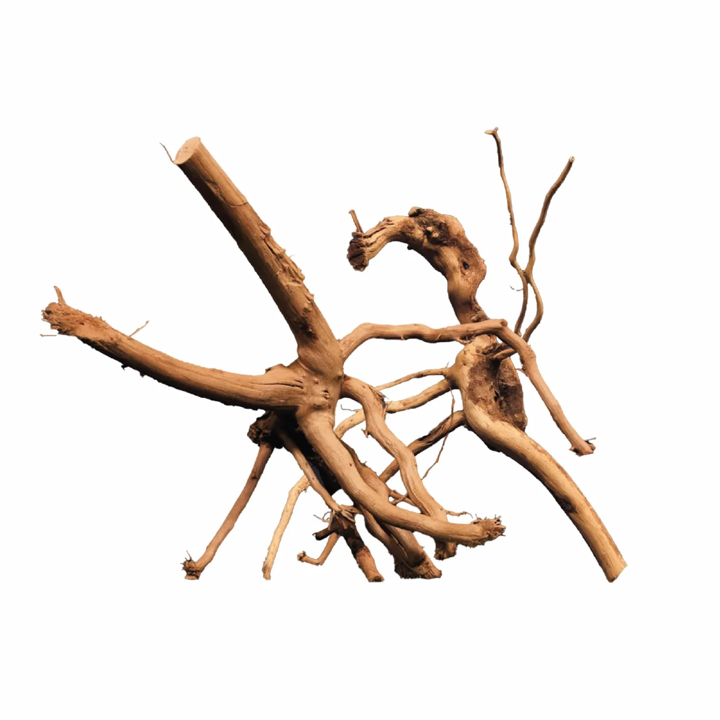 Naturalne drewno Redwood do akwarium Nano Garden Terrarium 15-20 cm