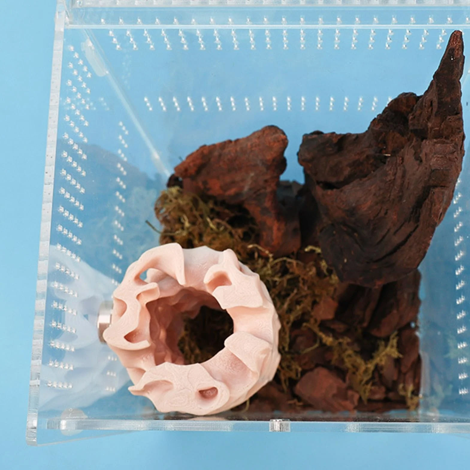 Spider Shelter - Magnetic Reptile Hiding Place | 3D Printed Gecko Cave, Sturdy Habitat for Jumping Spider, Climbing Pet Frog, Amphibian Enclosure, Safe and Easy-to-Attach Terrarium Accessory