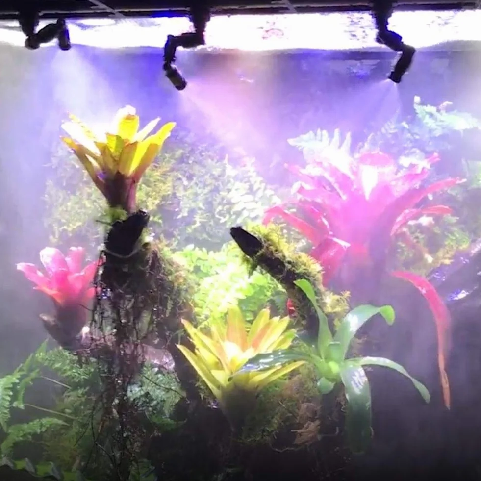 Dysza do terrarium 360° regulowana podwójna głowica mini zraszająca 1/4" Connect