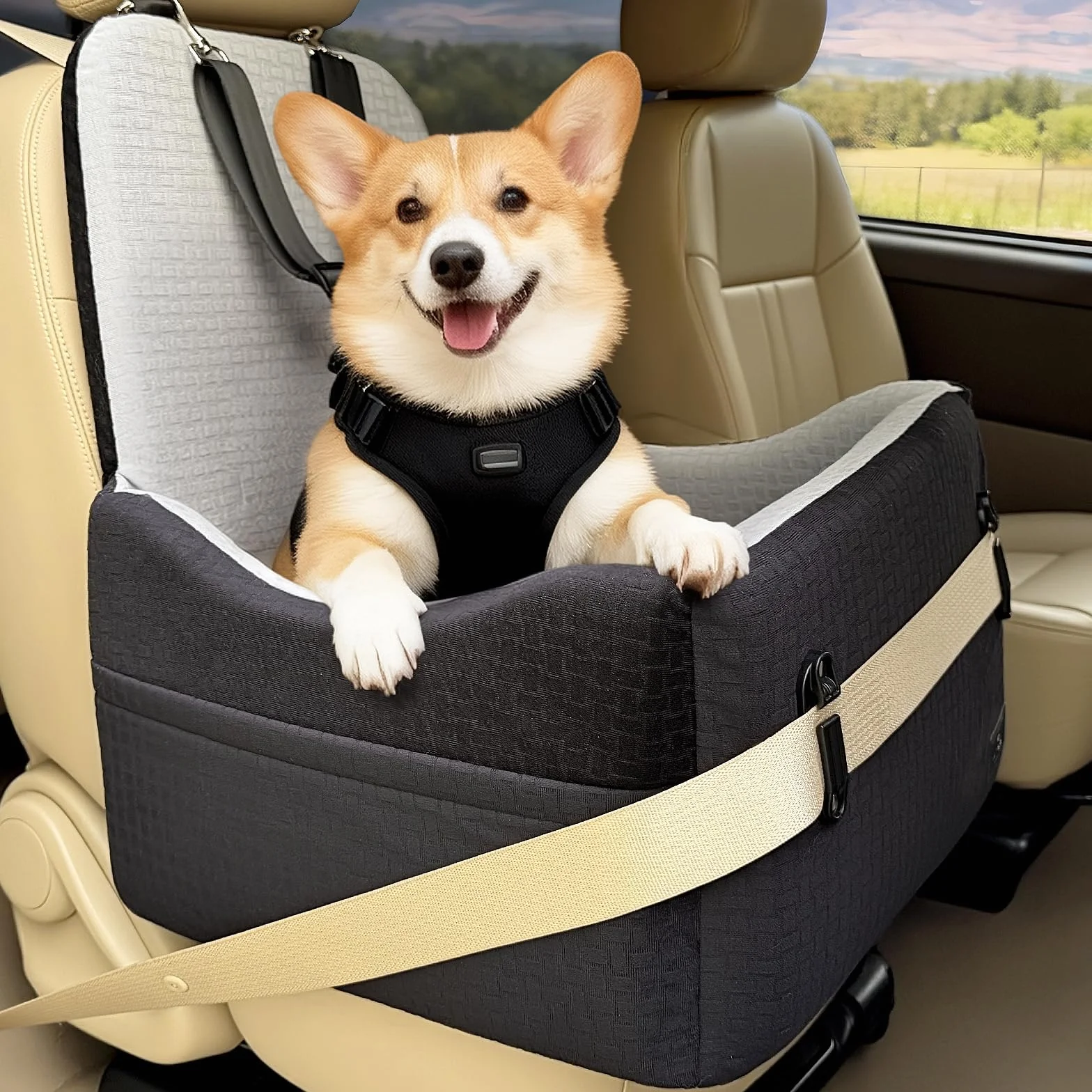PETSFIT Podwyższony fotelik samochodowy dla małych/średnich psów o wadze do 15 kg – 15 cm, podwyższona poduszka obserwacyjna, smycz bezpieczeństwa 700N, antypoślizgowa podstawa, nadająca się do prania