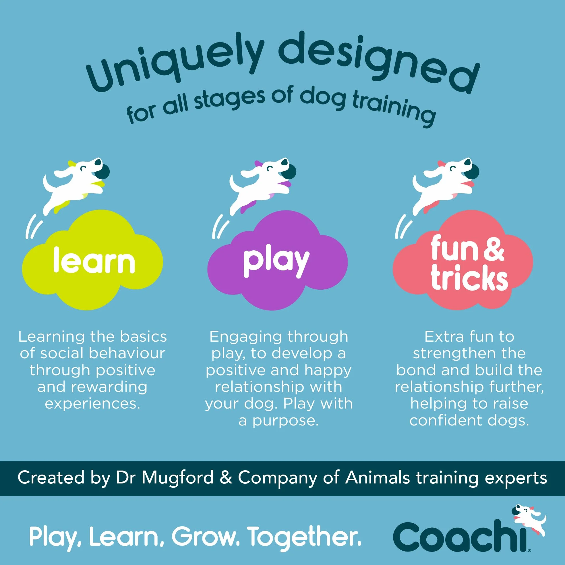 Company of Animals Kij celowy Coachi
