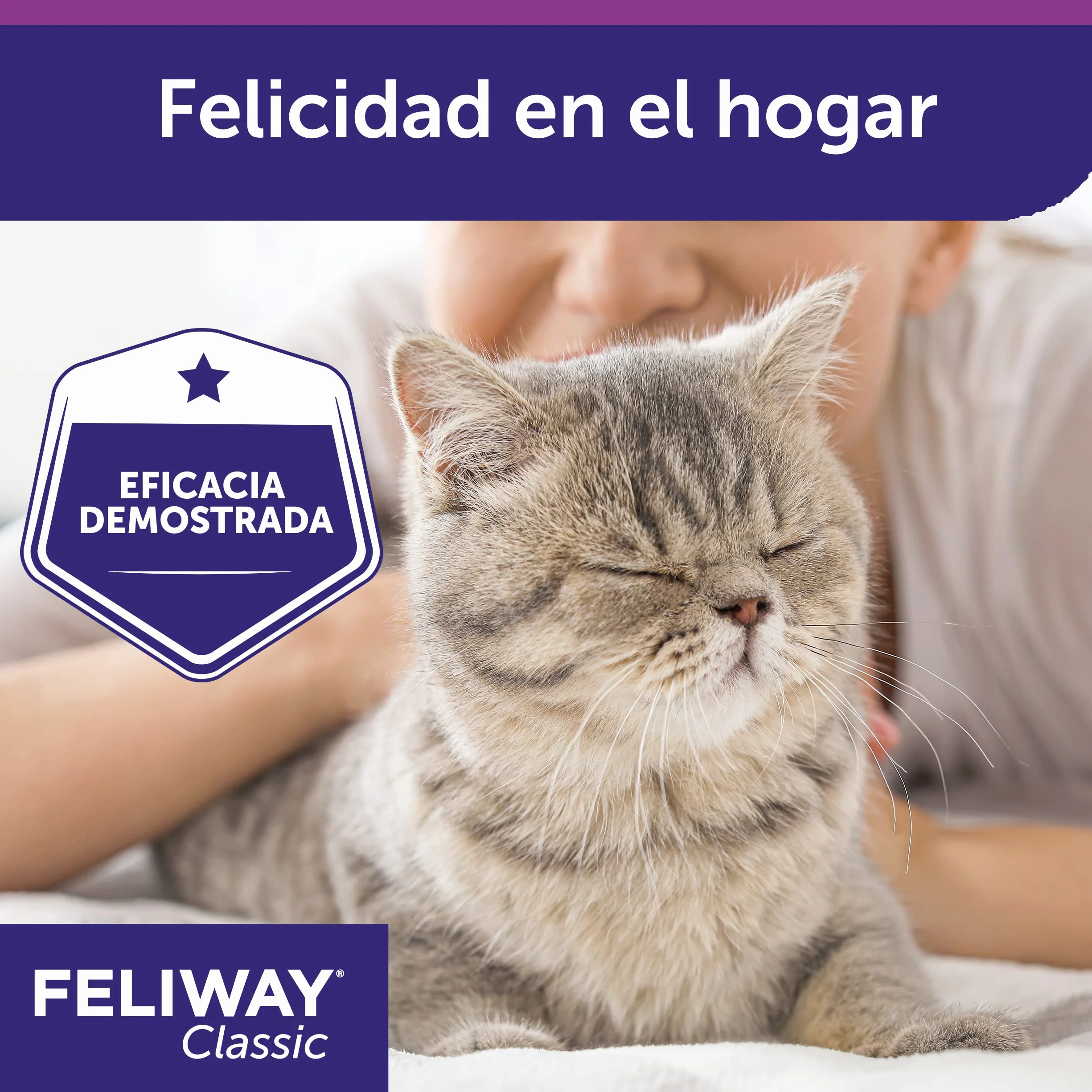 Feliway C23860B Zestaw Środków Uspokojajacych do Dyfuzora Friends, 3 x 48 ml,