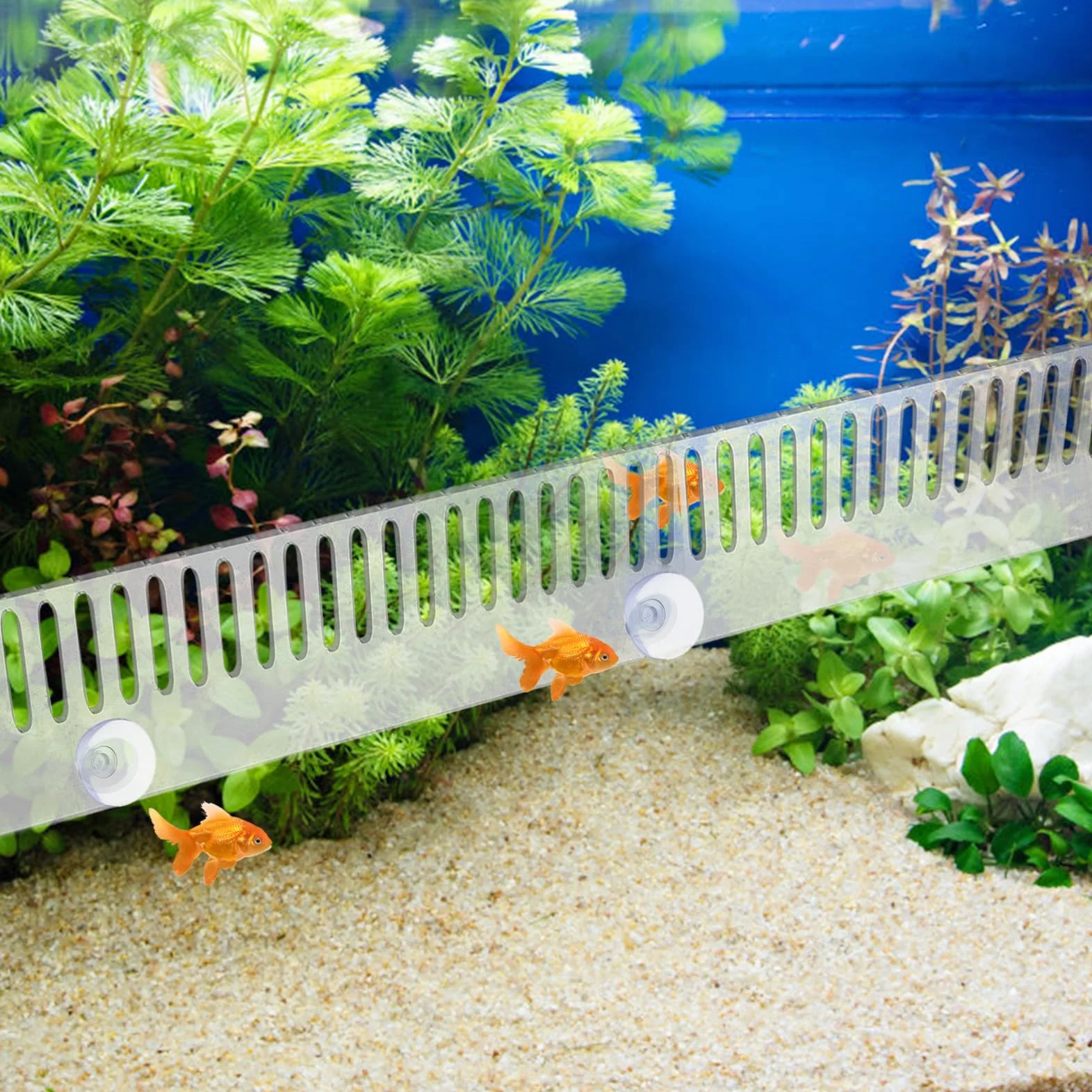 Toddmomy Grzebień Przelewowy Do Akwarium Grzebień Do Jazu Rybnego Plastikowy Grzebień Przelewowy Z Przyssawką Zapobiegającą Przelaniu Się Ryb
