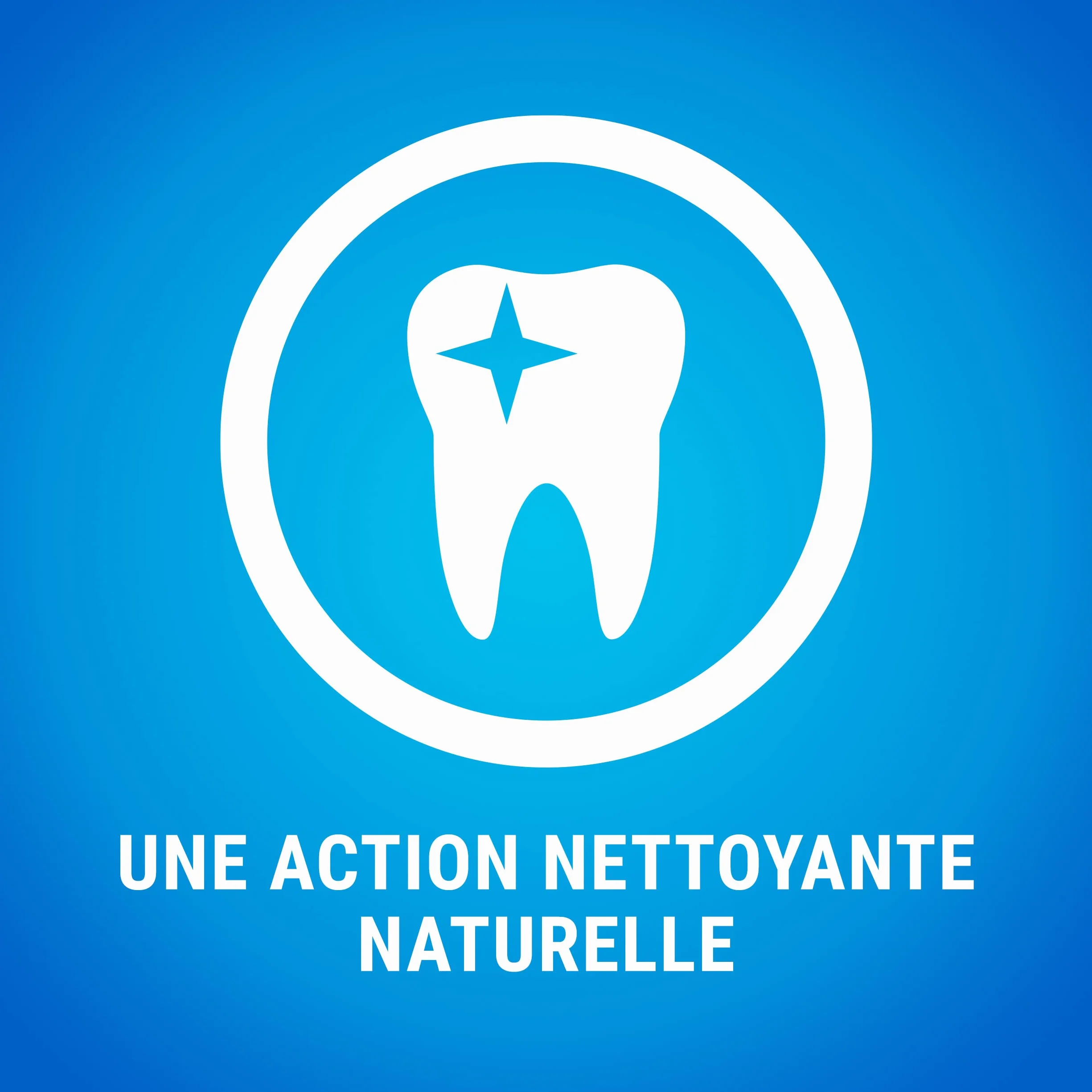 PURINA DENTALIFE EXTRA MINI | Przysmaki dla bardzo małych psów |21 patyczków do żucia | Kurczak | Pakiet Maxi 207 g | Higiena jamy ustnej
