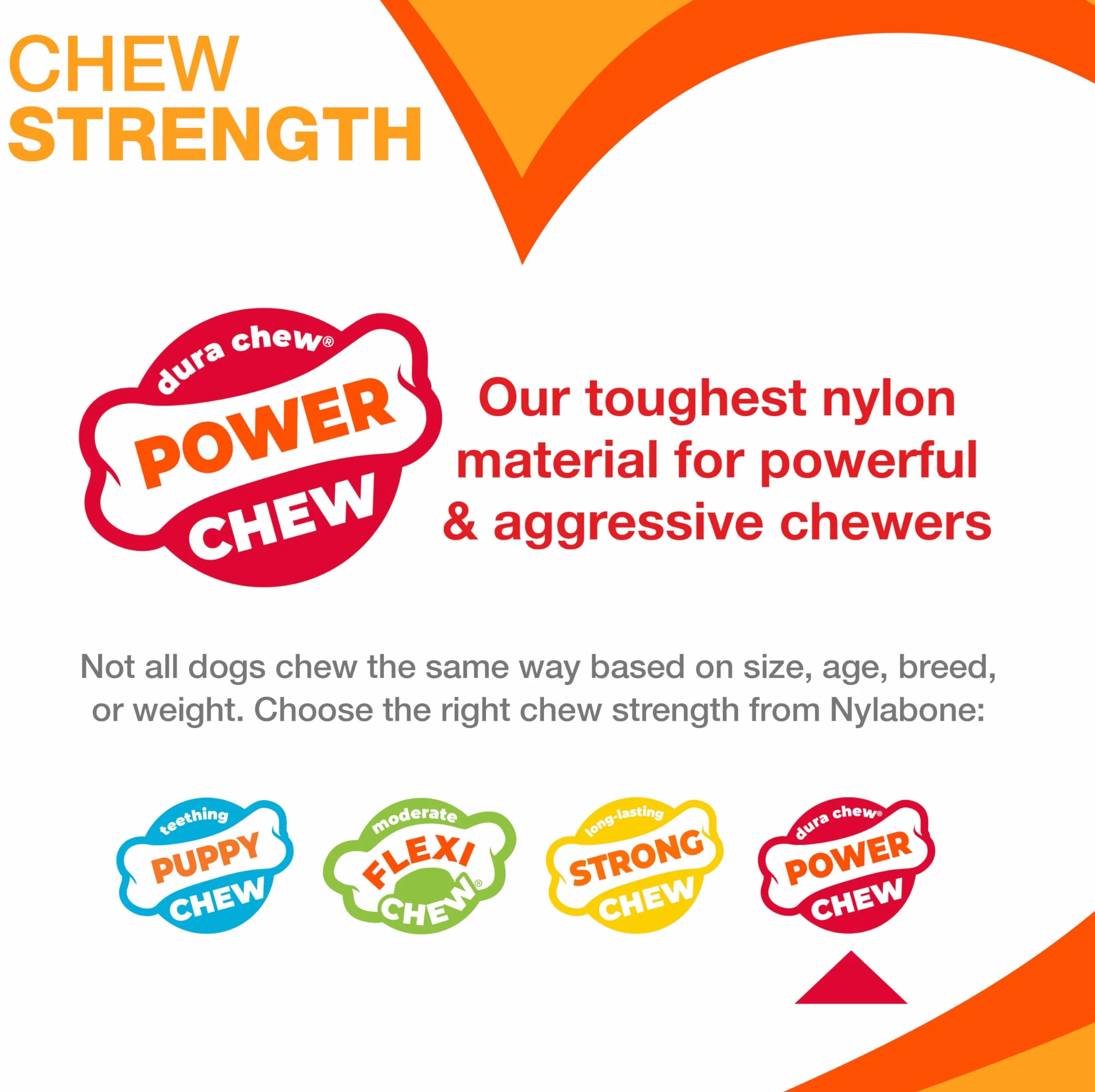 Nylabone 2 x Dura Chew ekstremalnie wytrzymałe kości do żucia dla psa, 1 boczek i 1 kurczak, duża, dla psów do 23 kg