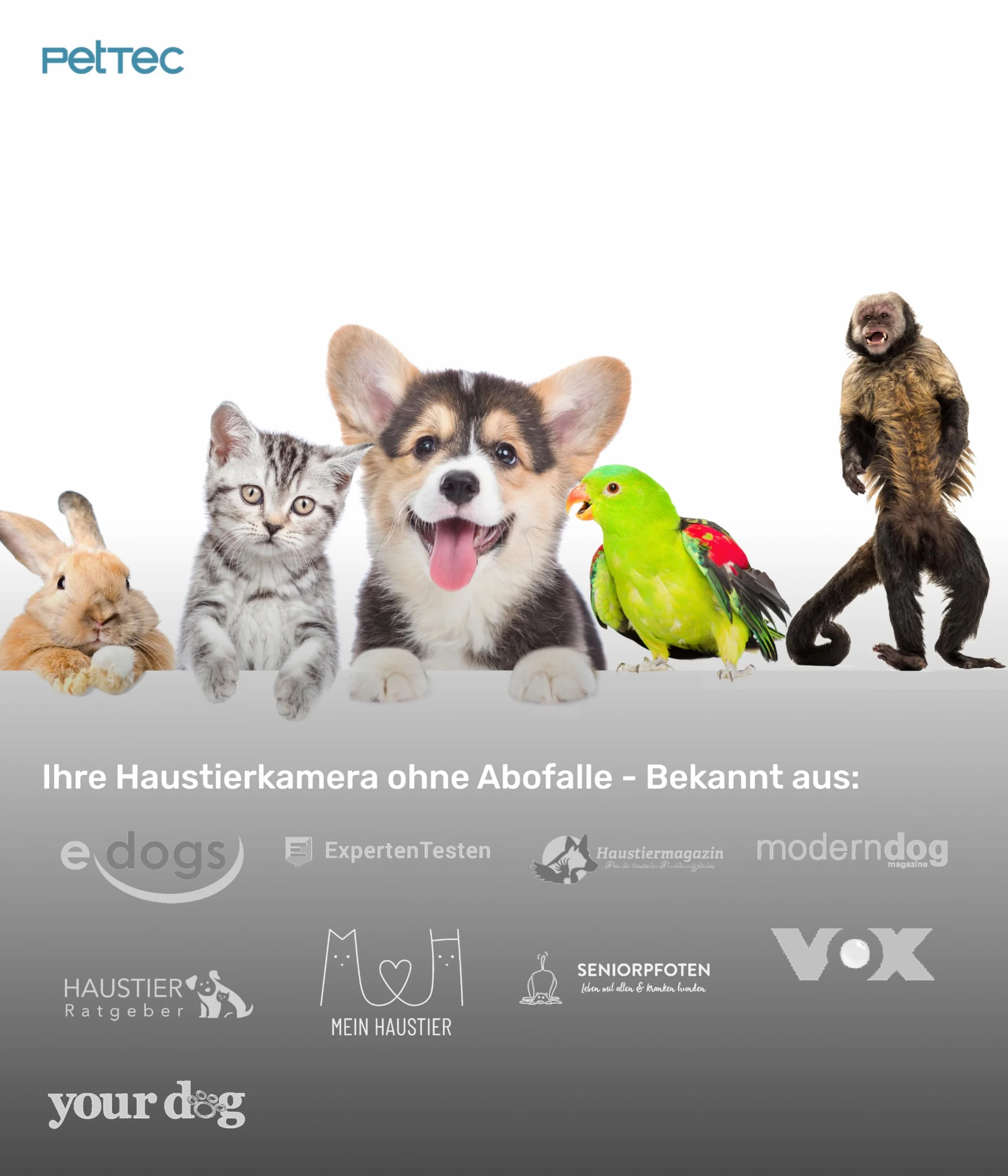 PetTec Cam 360° Dog Camera z aplikacją, WiFi, funkcją głosową i noktowizją do domu - Pet Security Camera Full HD - Kamera dla zwierząt domowych dla psów i kotów, kamera dla zwierząt domowych